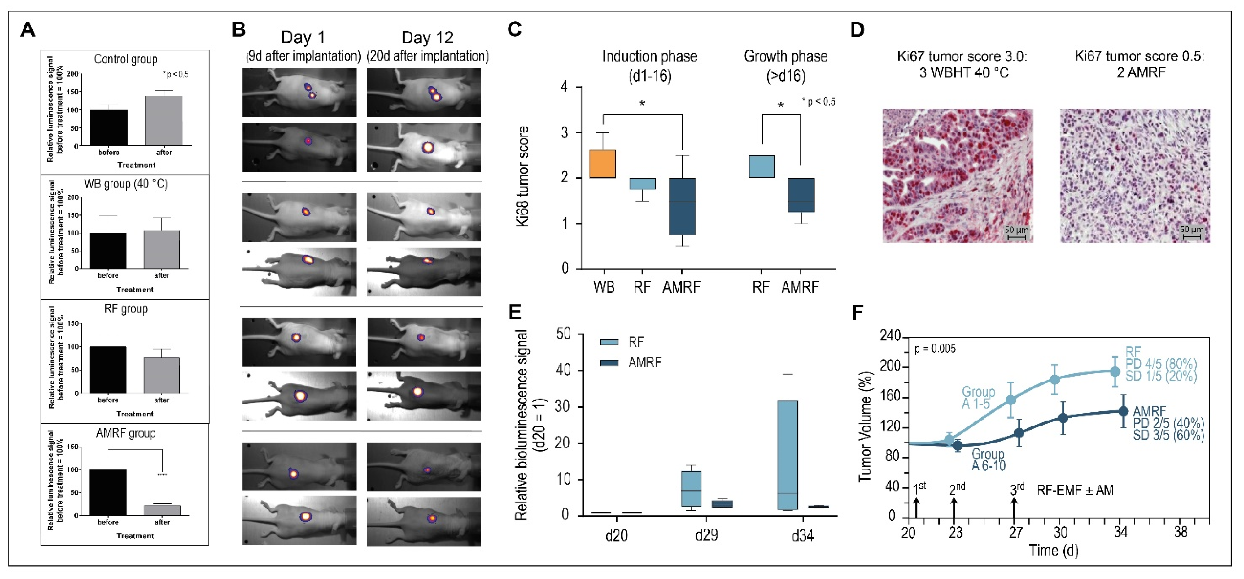 Cancers 14 05349 g005
