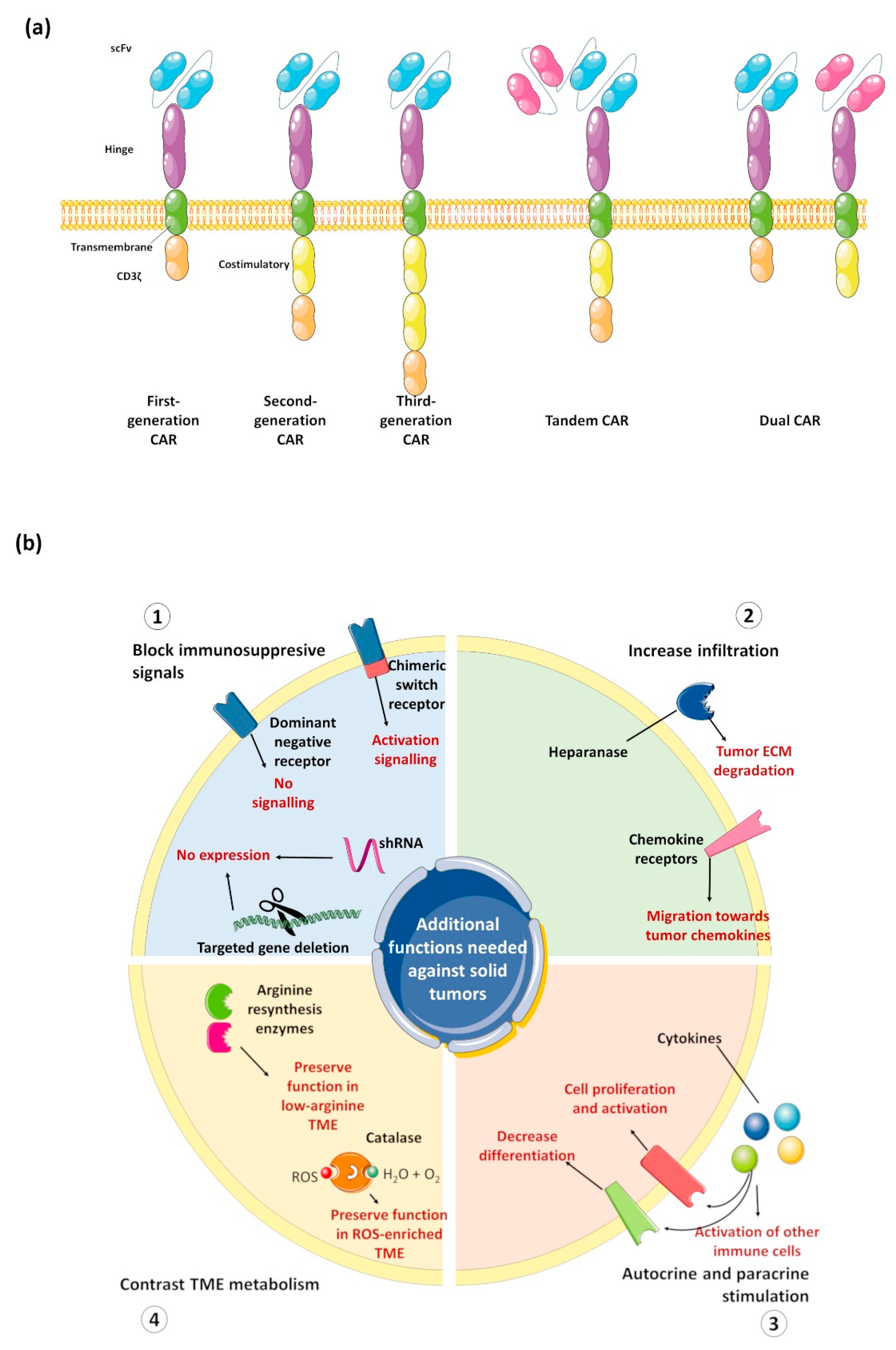 Cancers 14 05351 g002