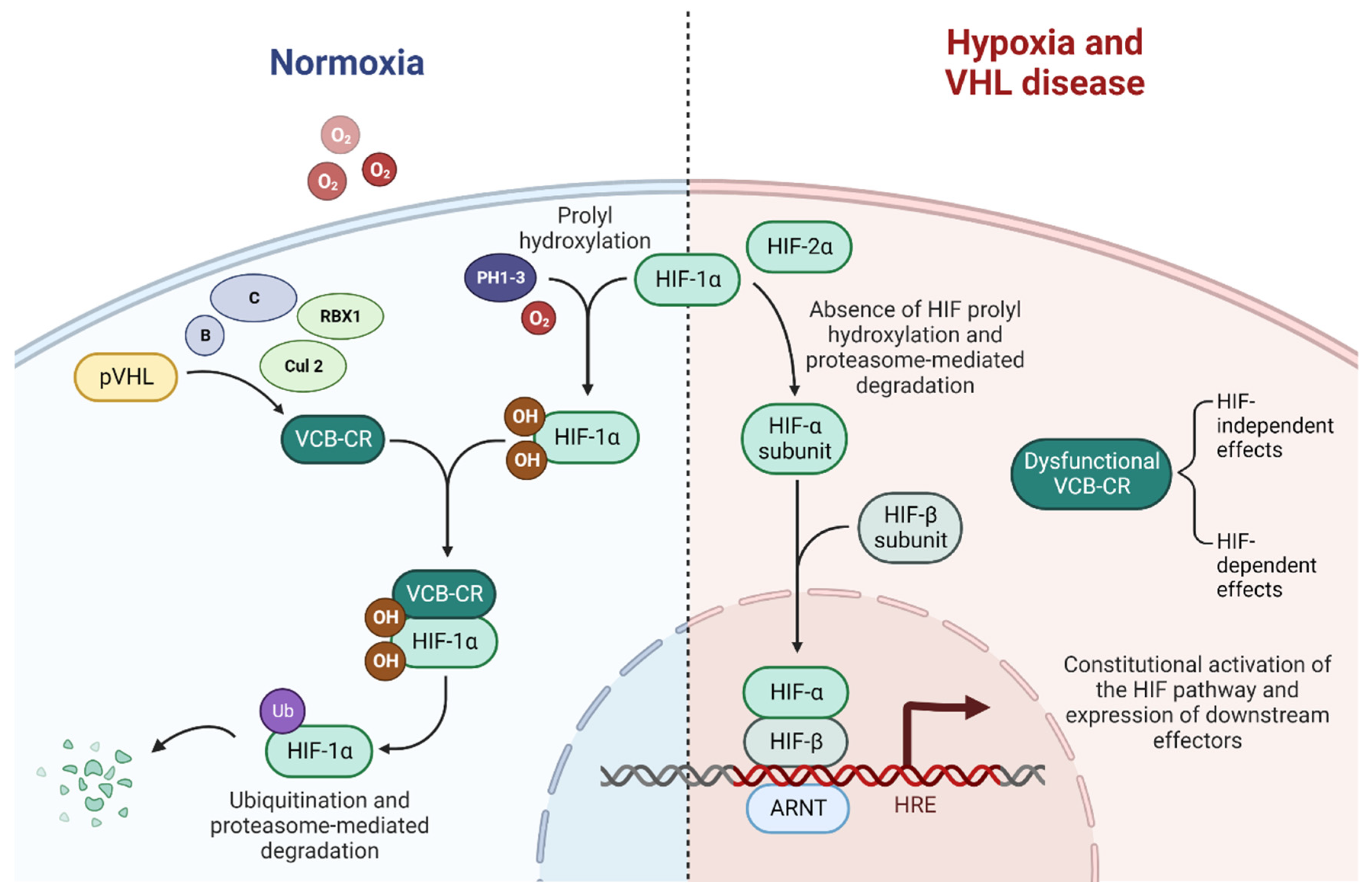 Cancers 14 05352 g002