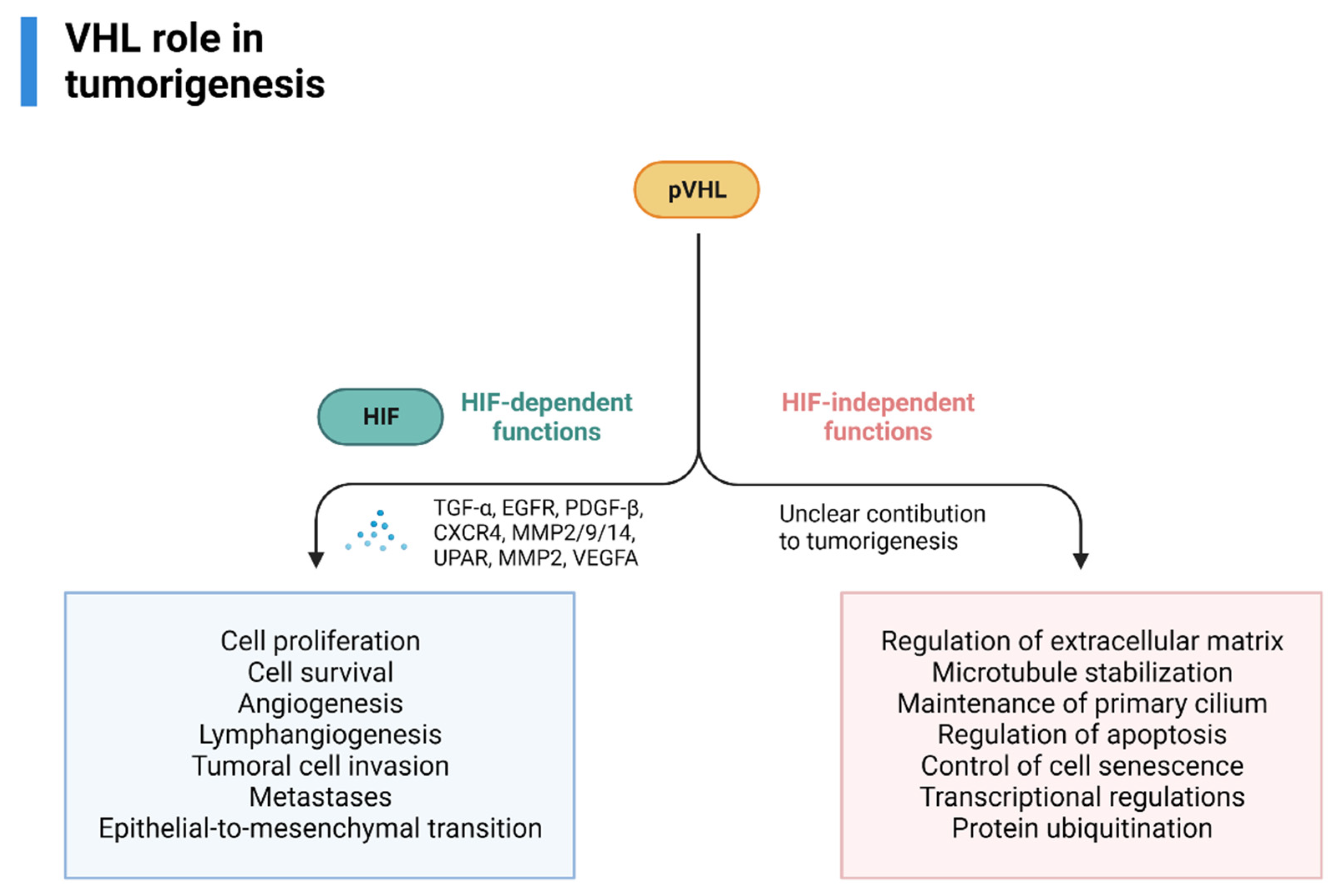 Cancers 14 05352 g003
