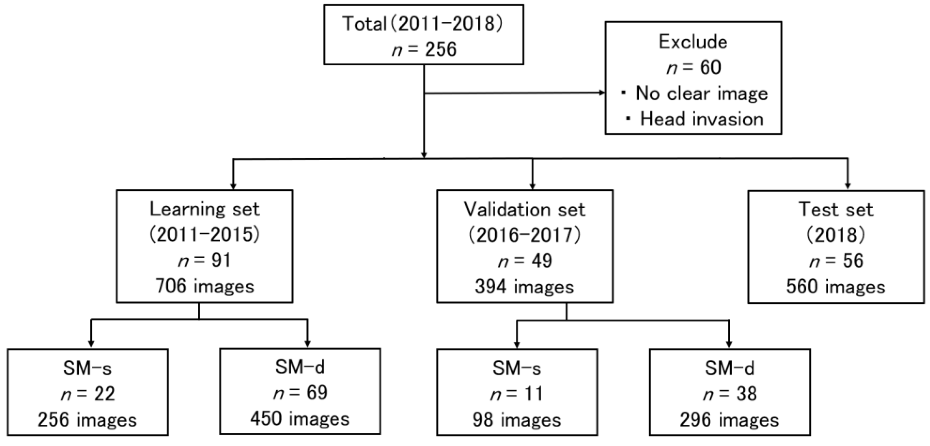 Cancers 14 05361 g001
