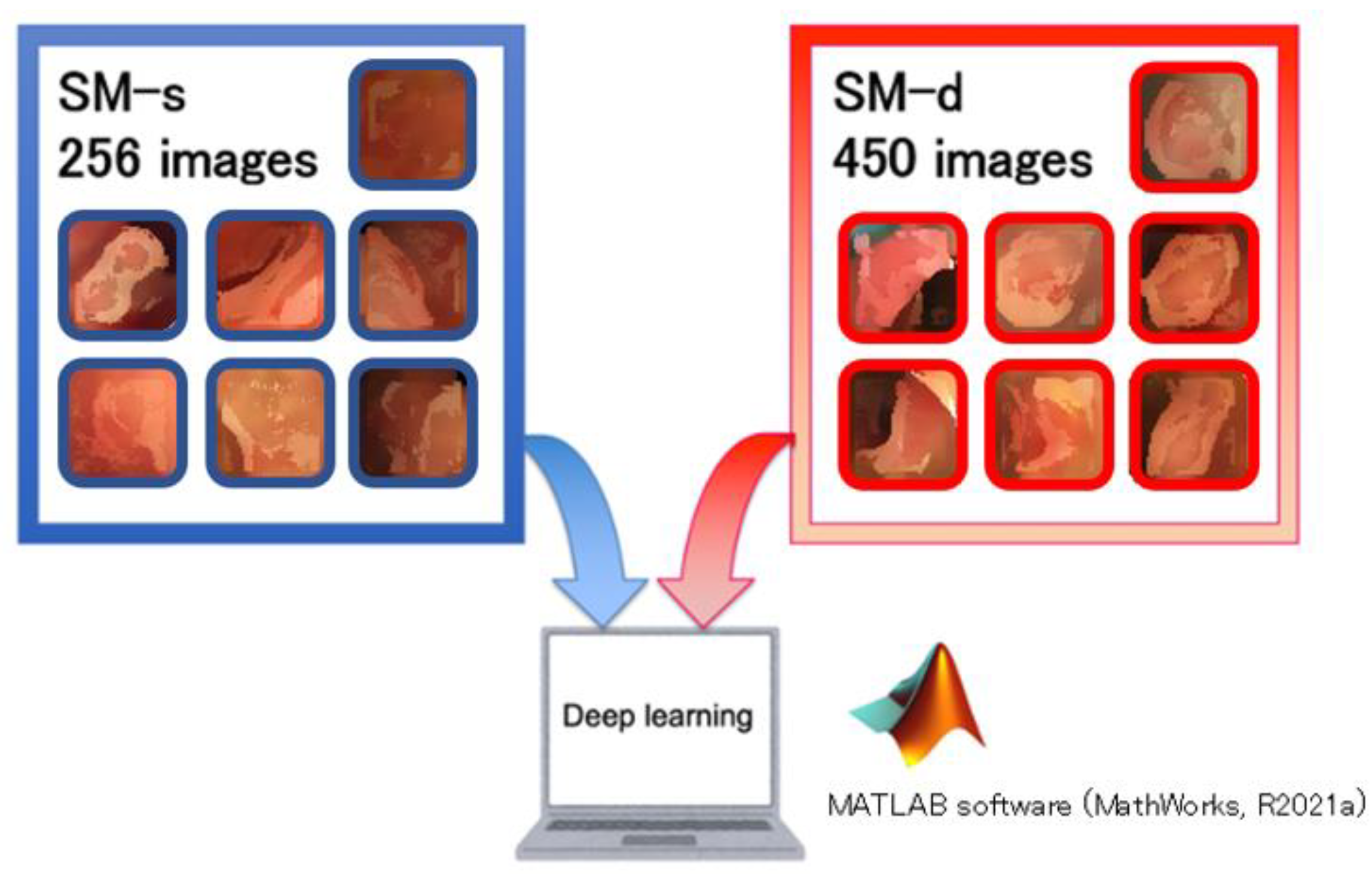 Cancers 14 05361 g002