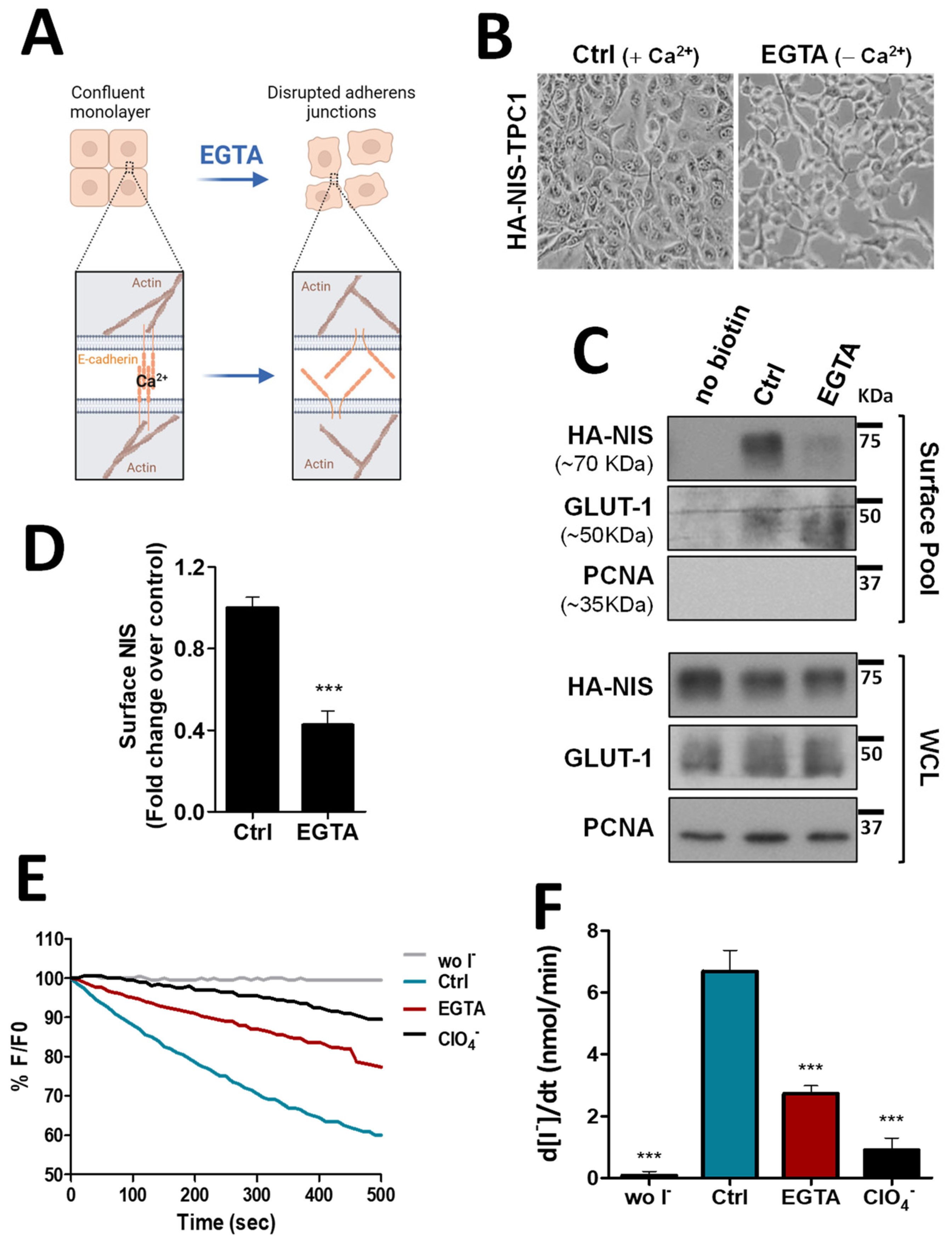 Cancers 14 05362 g001