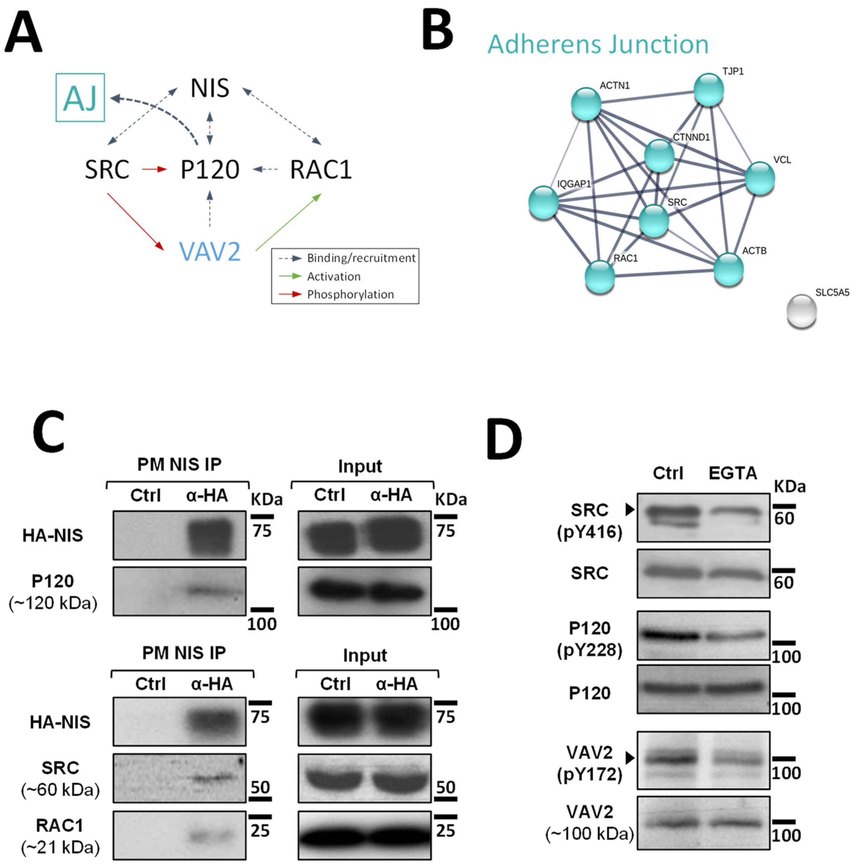 Cancers 14 05362 g003