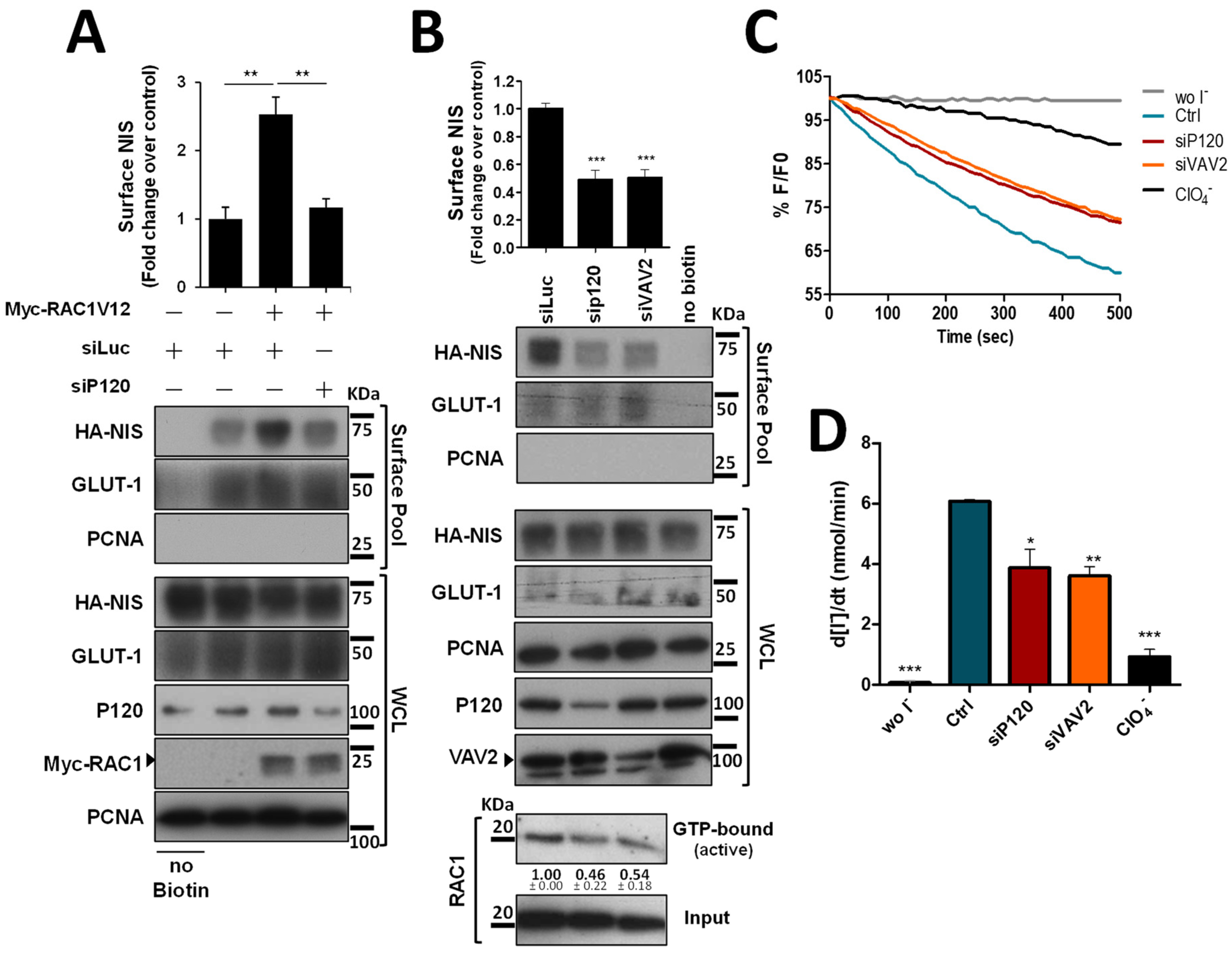 Cancers 14 05362 g005