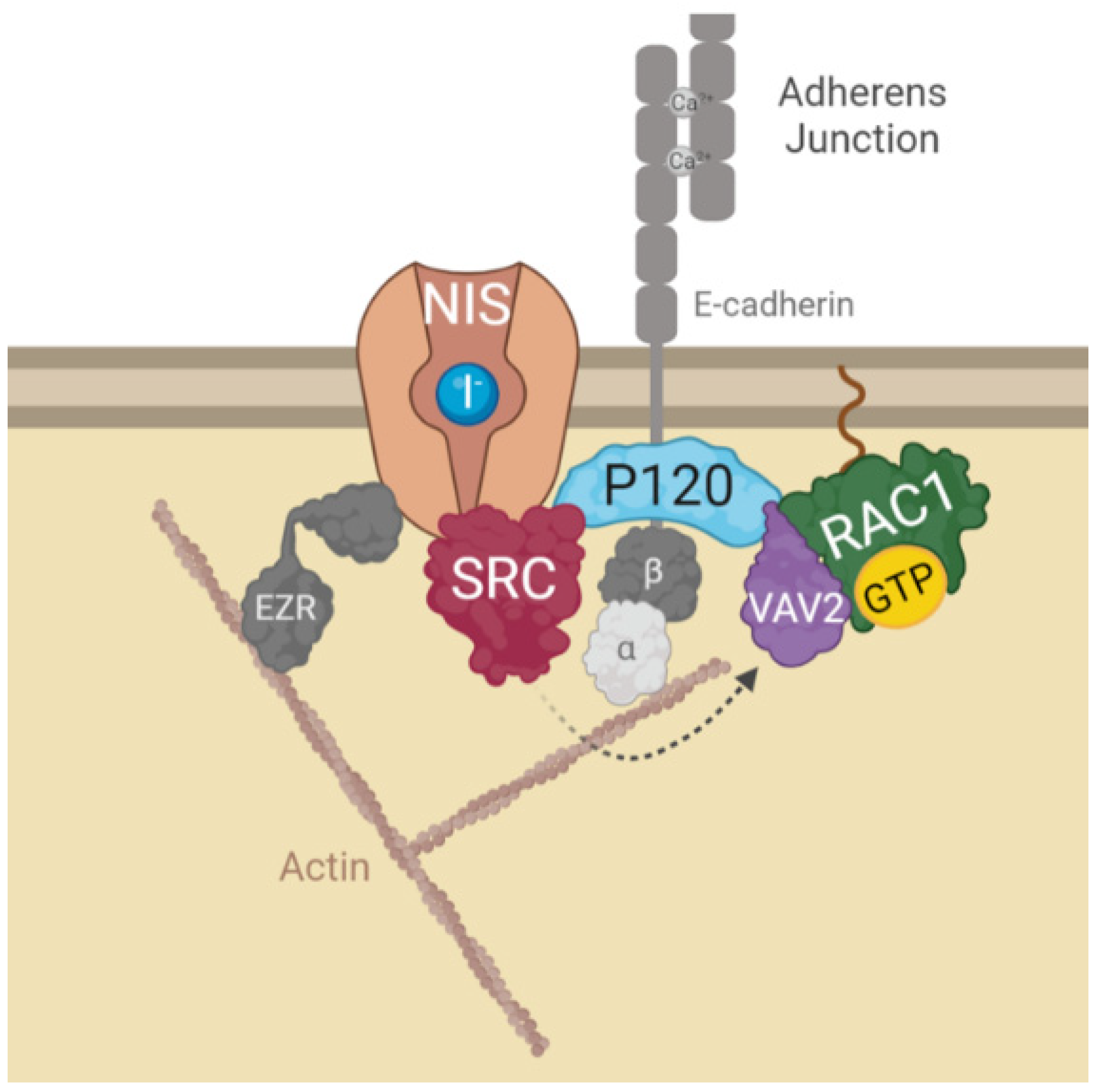 Cancers 14 05362 g006