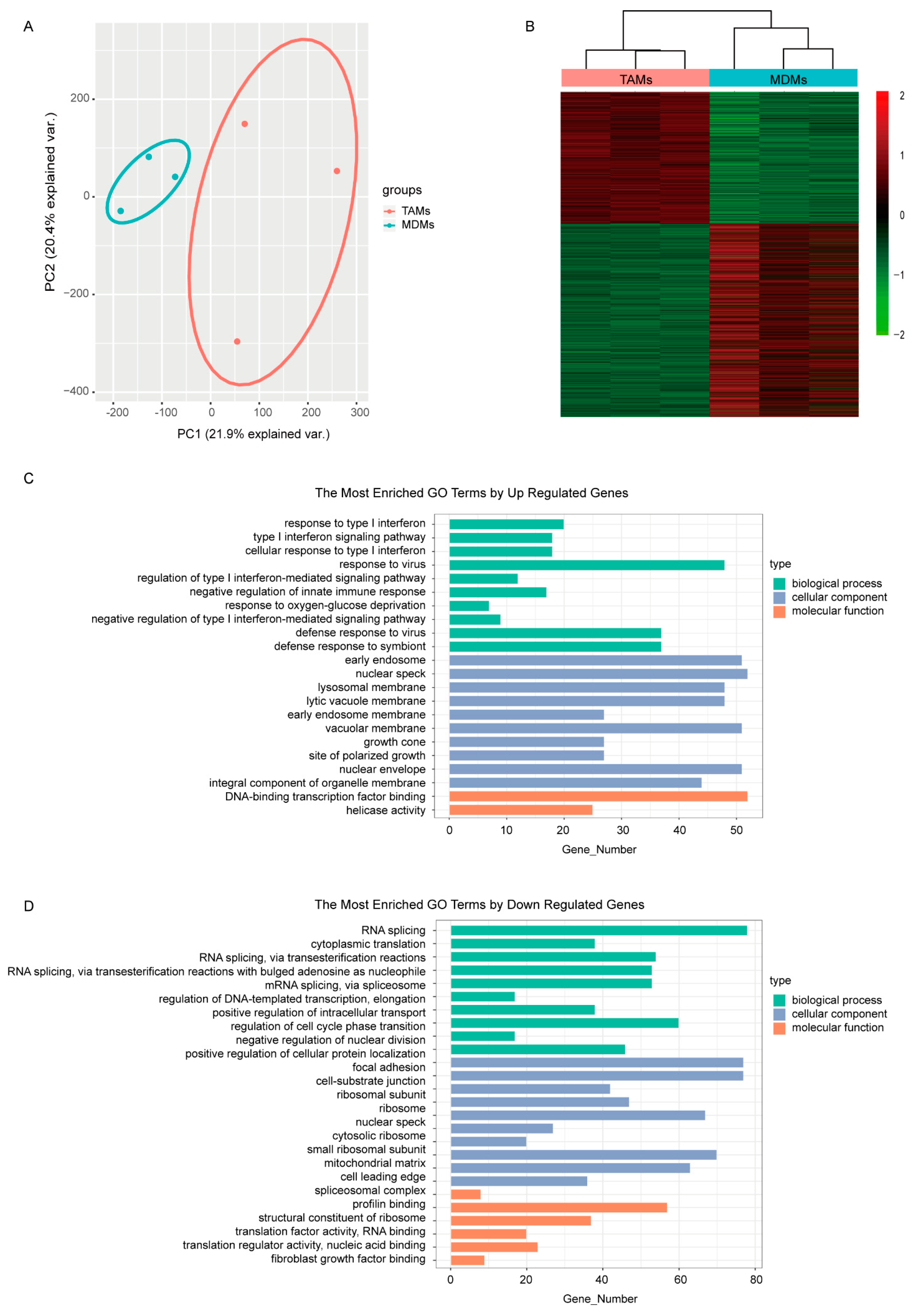 Cancers 14 05364 g001