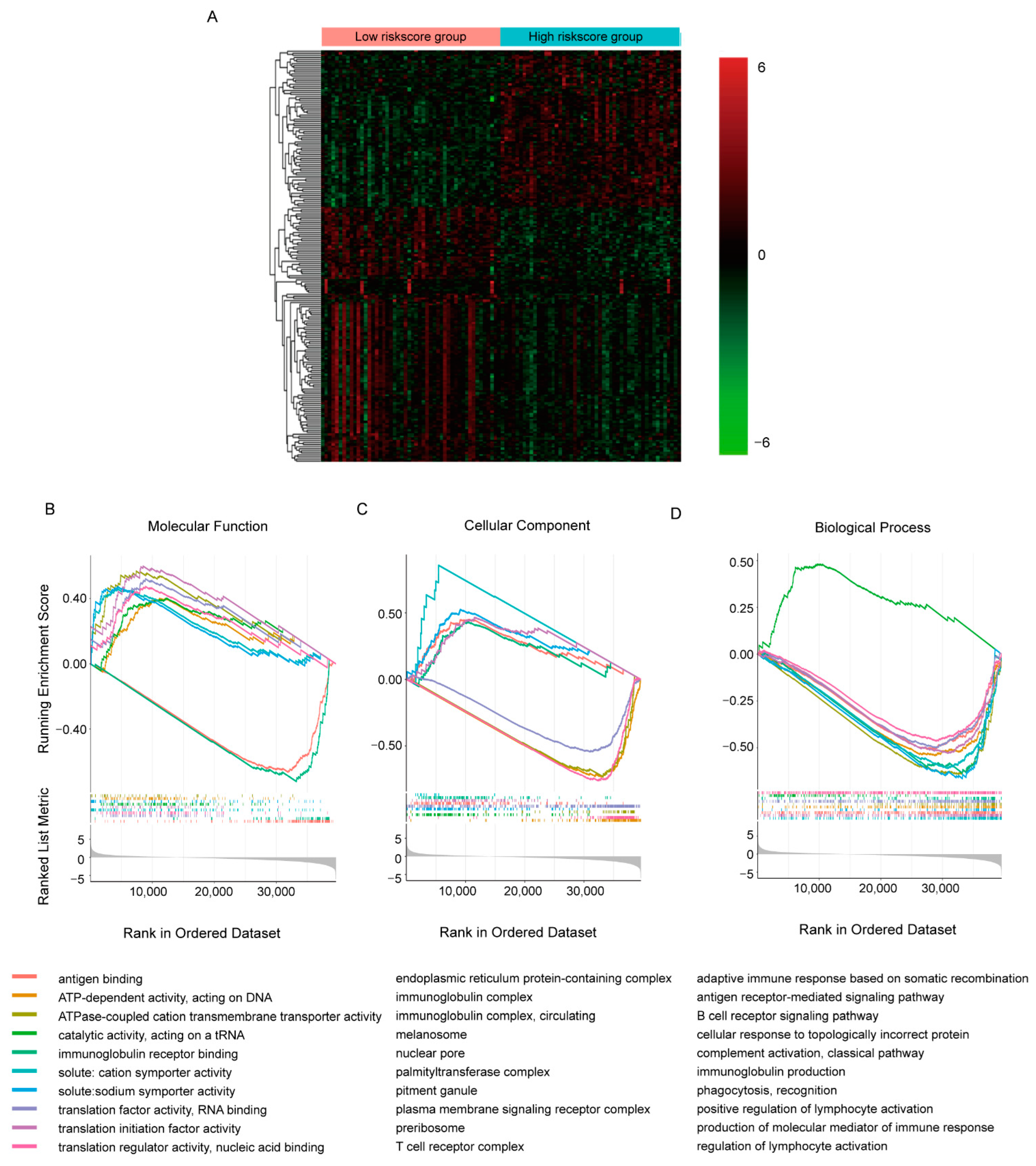 Cancers 14 05364 g004