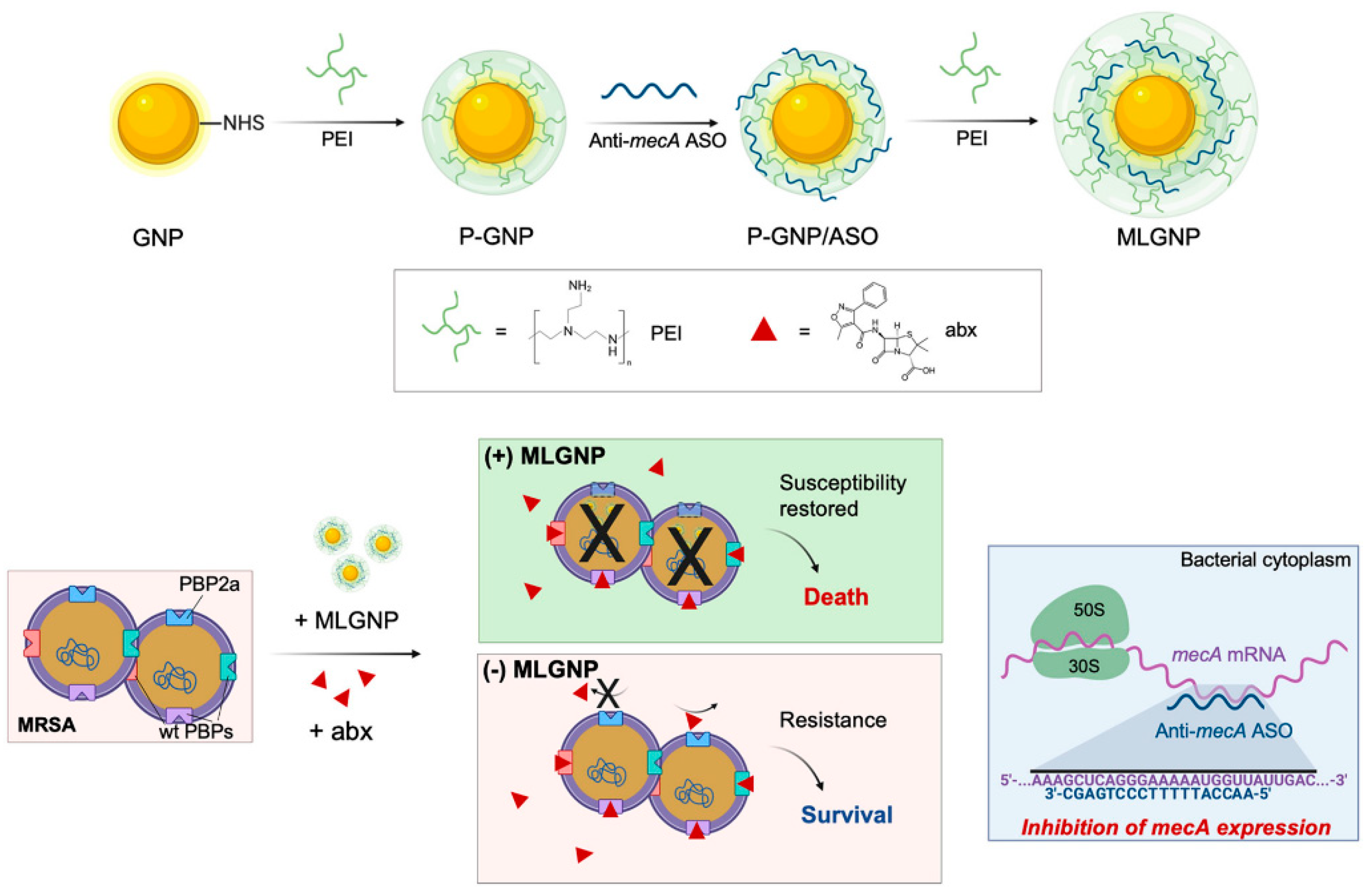 Cancers 14 05366 g007