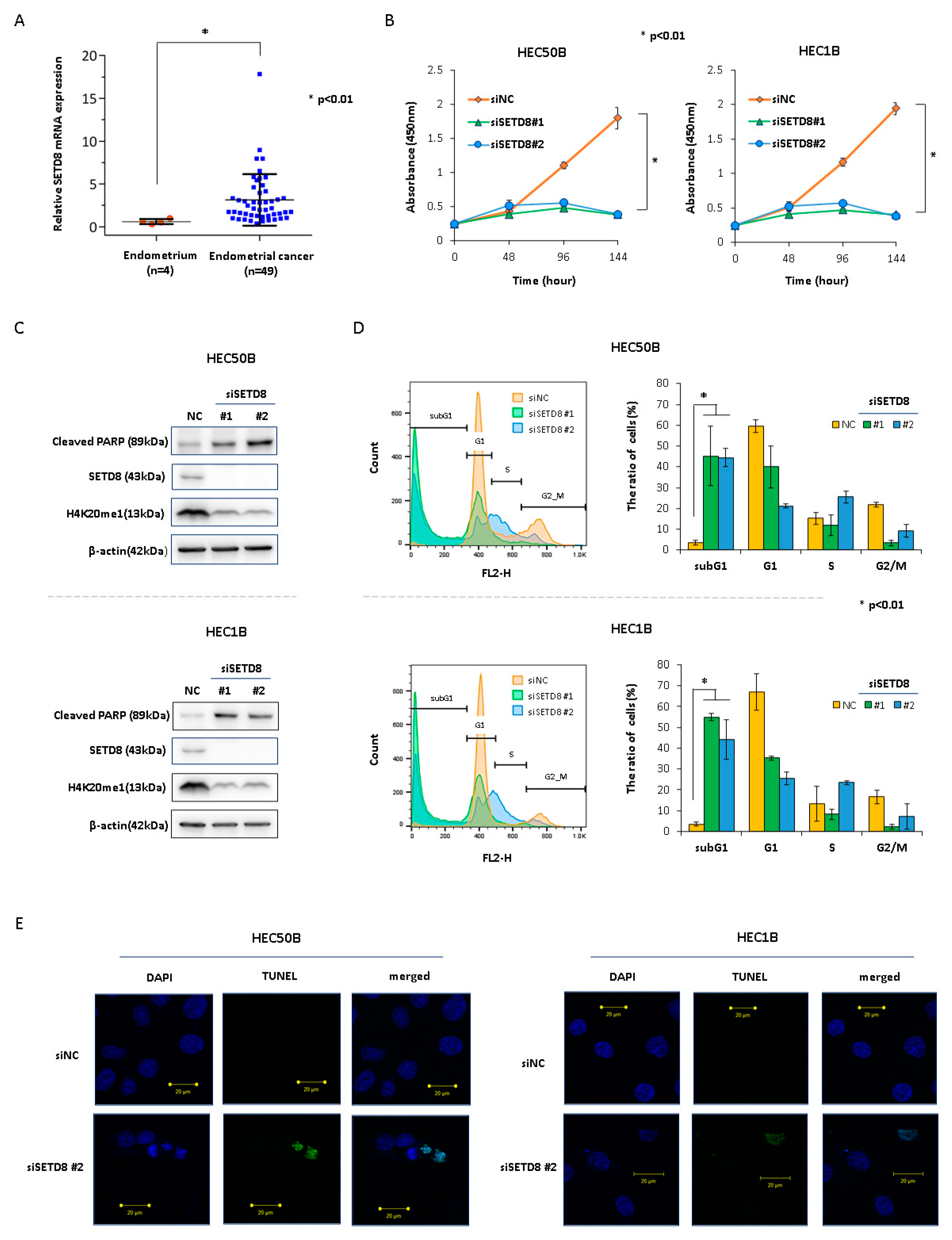 Cancers 14 05367 g001 Cancers 14 05367 g001
