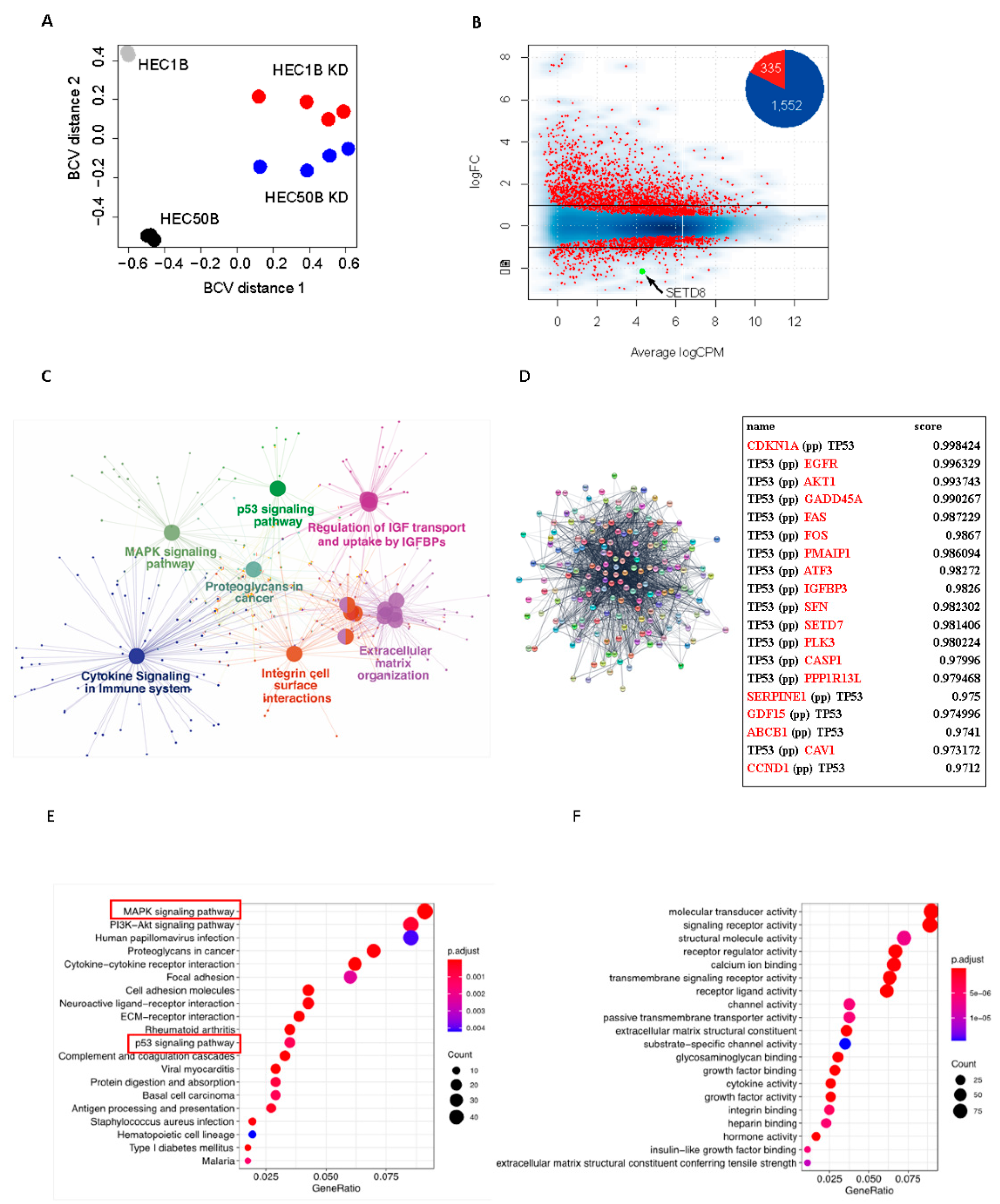 Cancers 14 05367 g003 Cancers 14 05367 g003