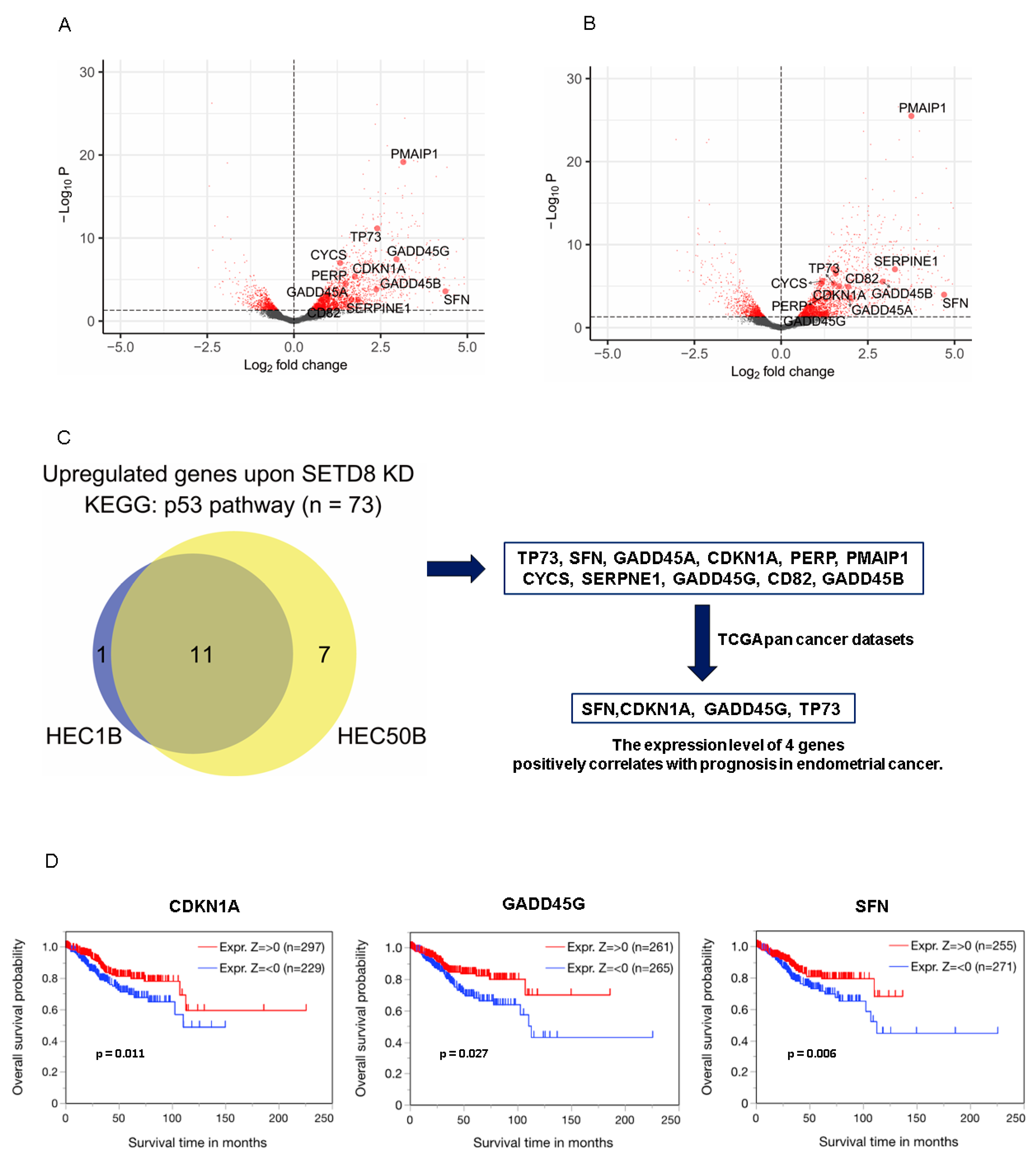 Cancers 14 05367 g004 Cancers 14 05367 g004