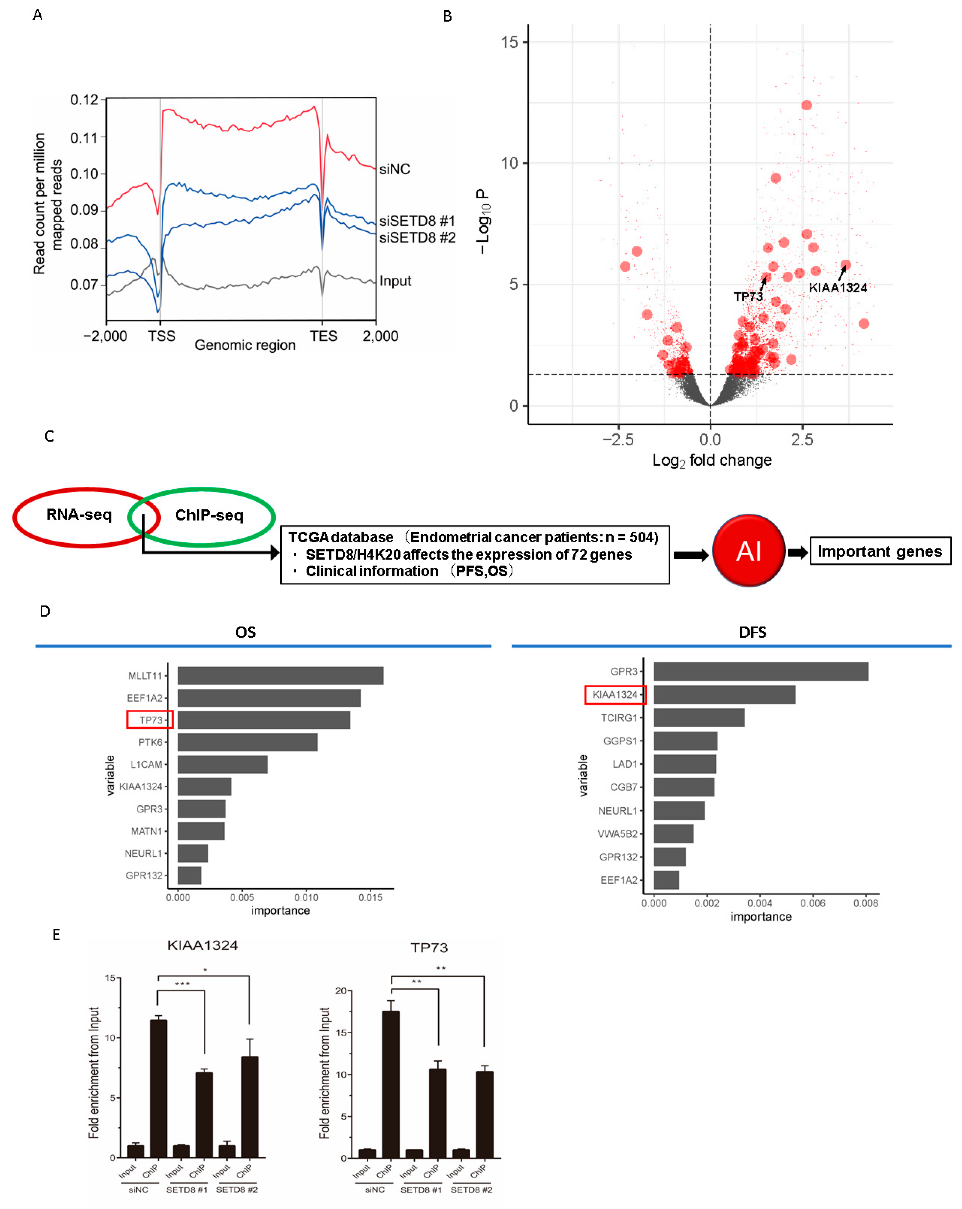 Cancers 14 05367 g005 Cancers 14 05367 g005