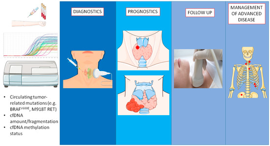 Cancers 14 05370 g001