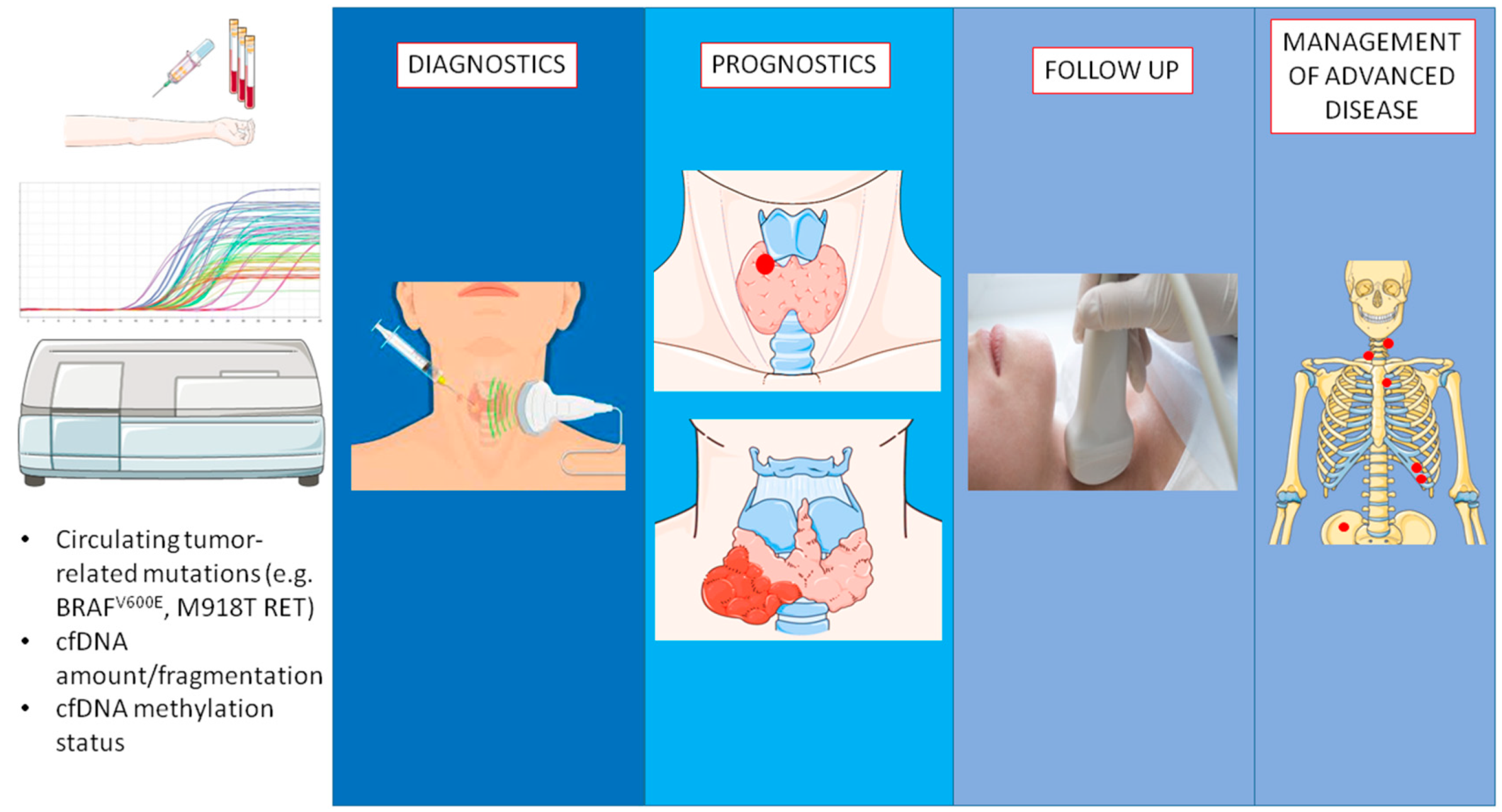 Cancers 14 05370 g001