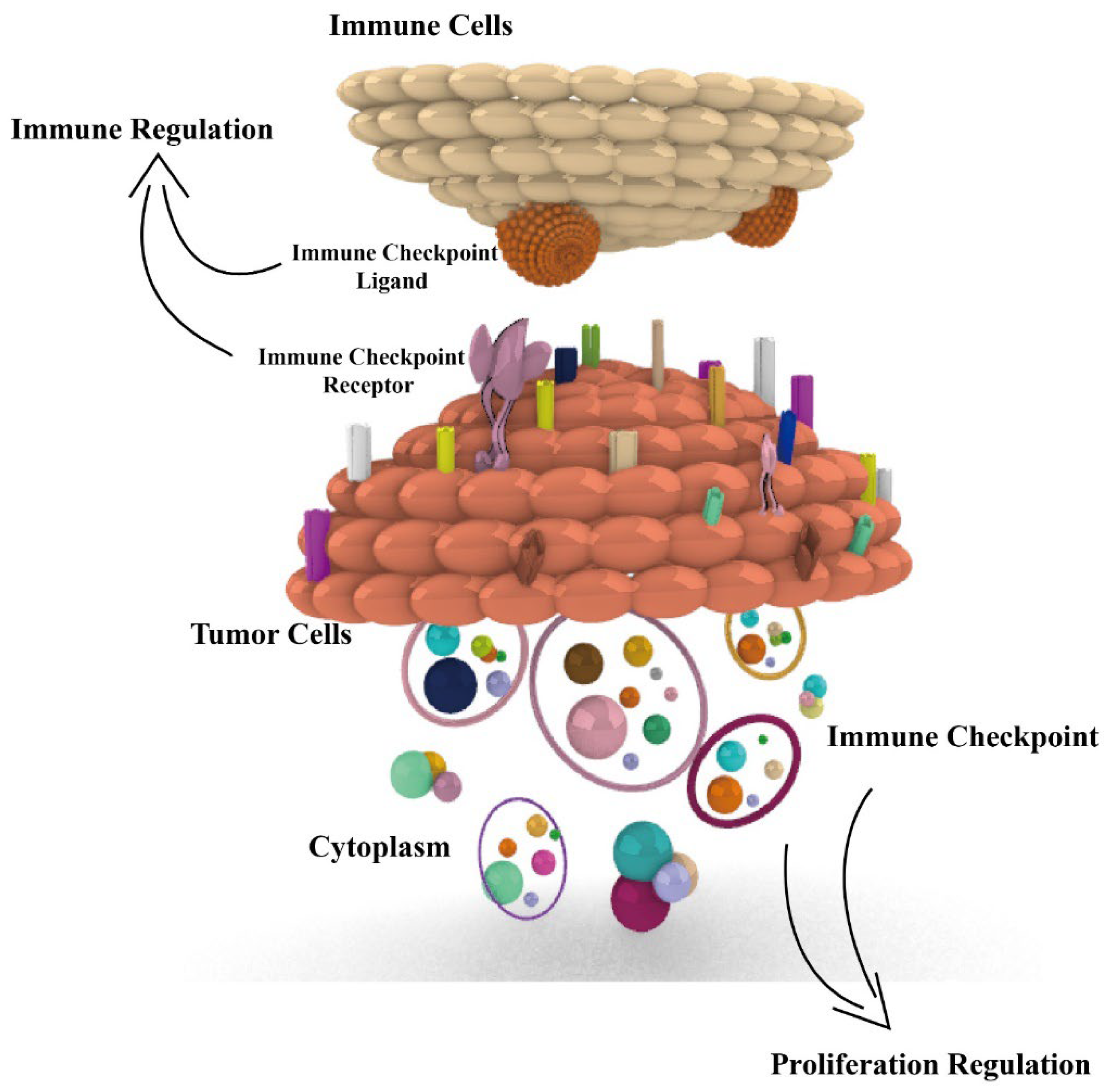 Cancers 14 05374 g001