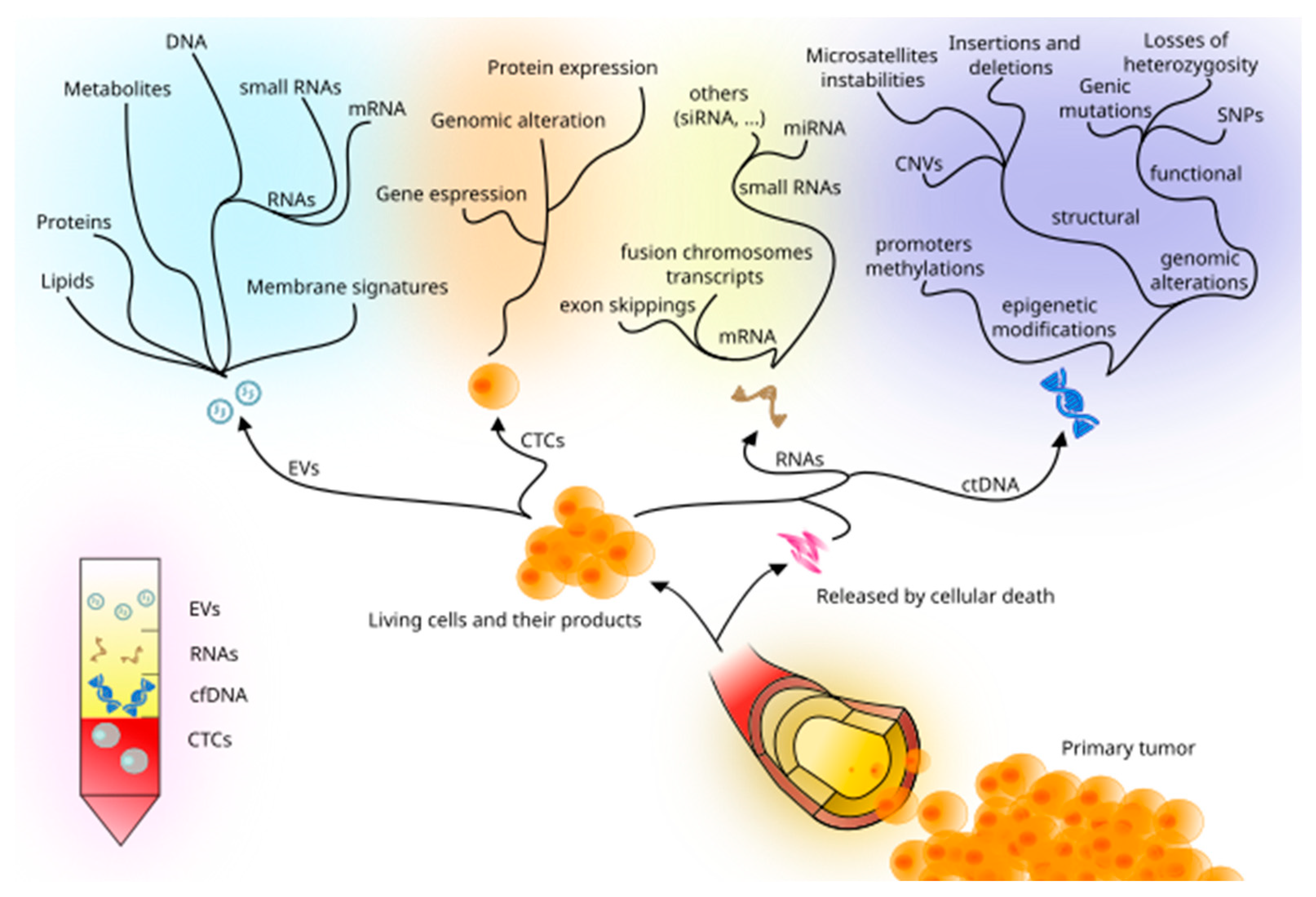 Cancers 14 05378 g001