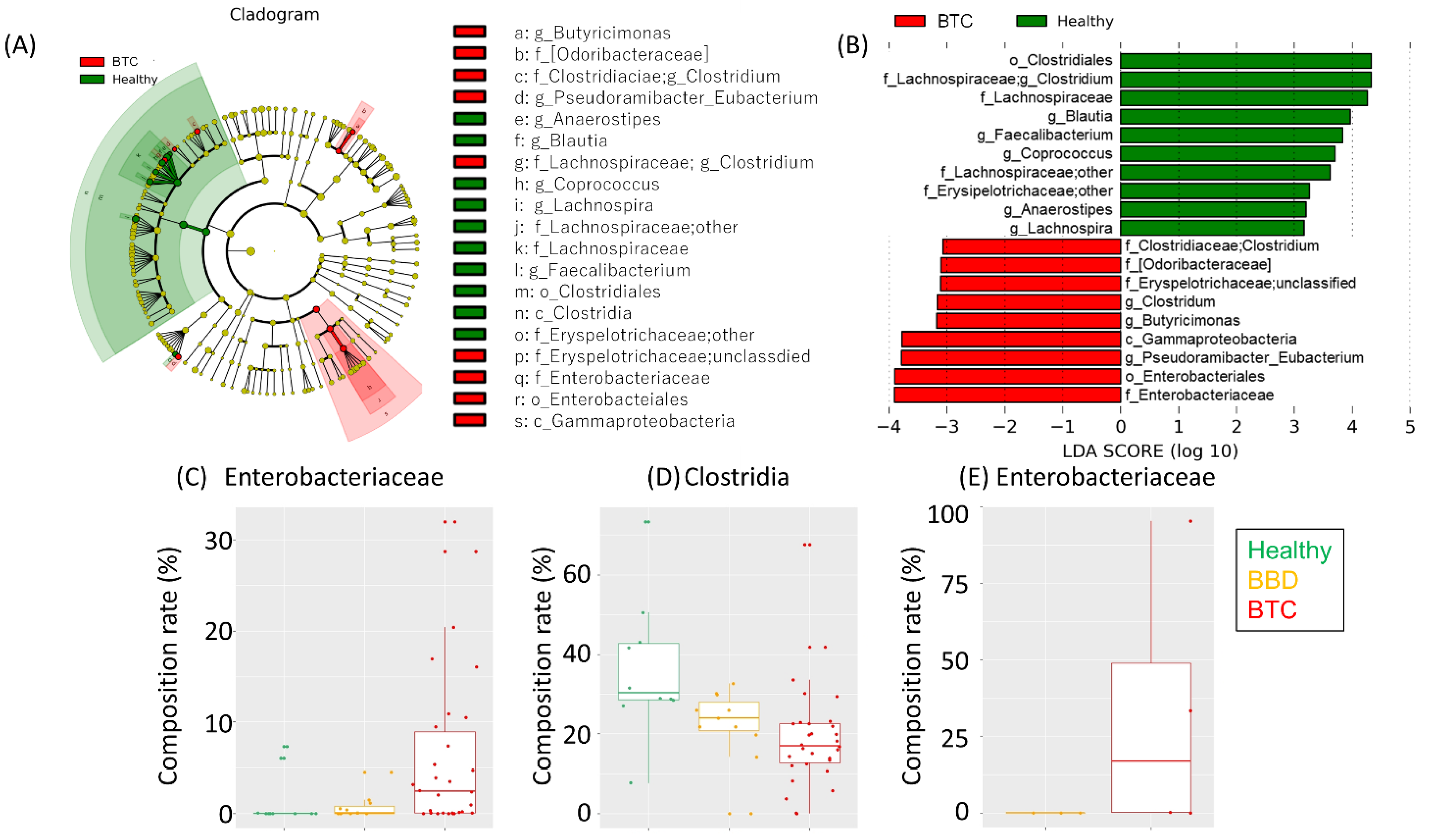 Cancers 14 05379 g003