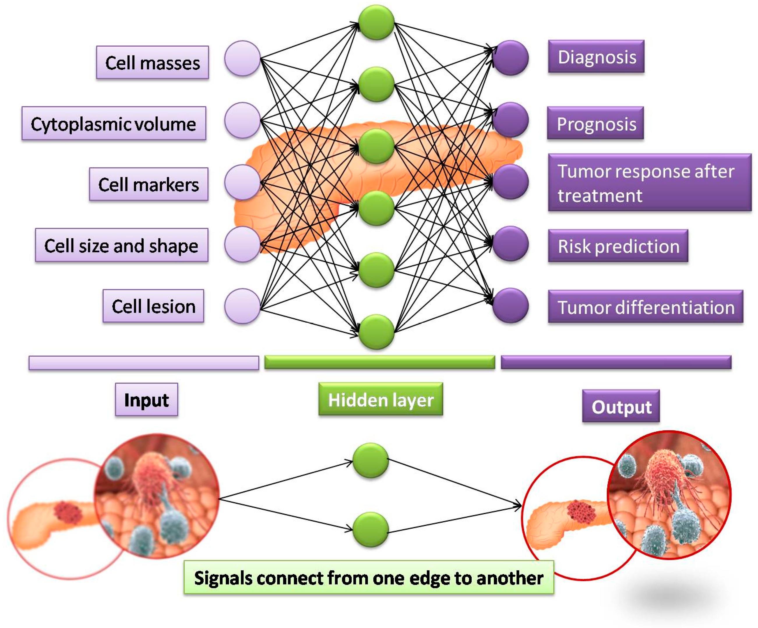 Cancers 14 05382 g002