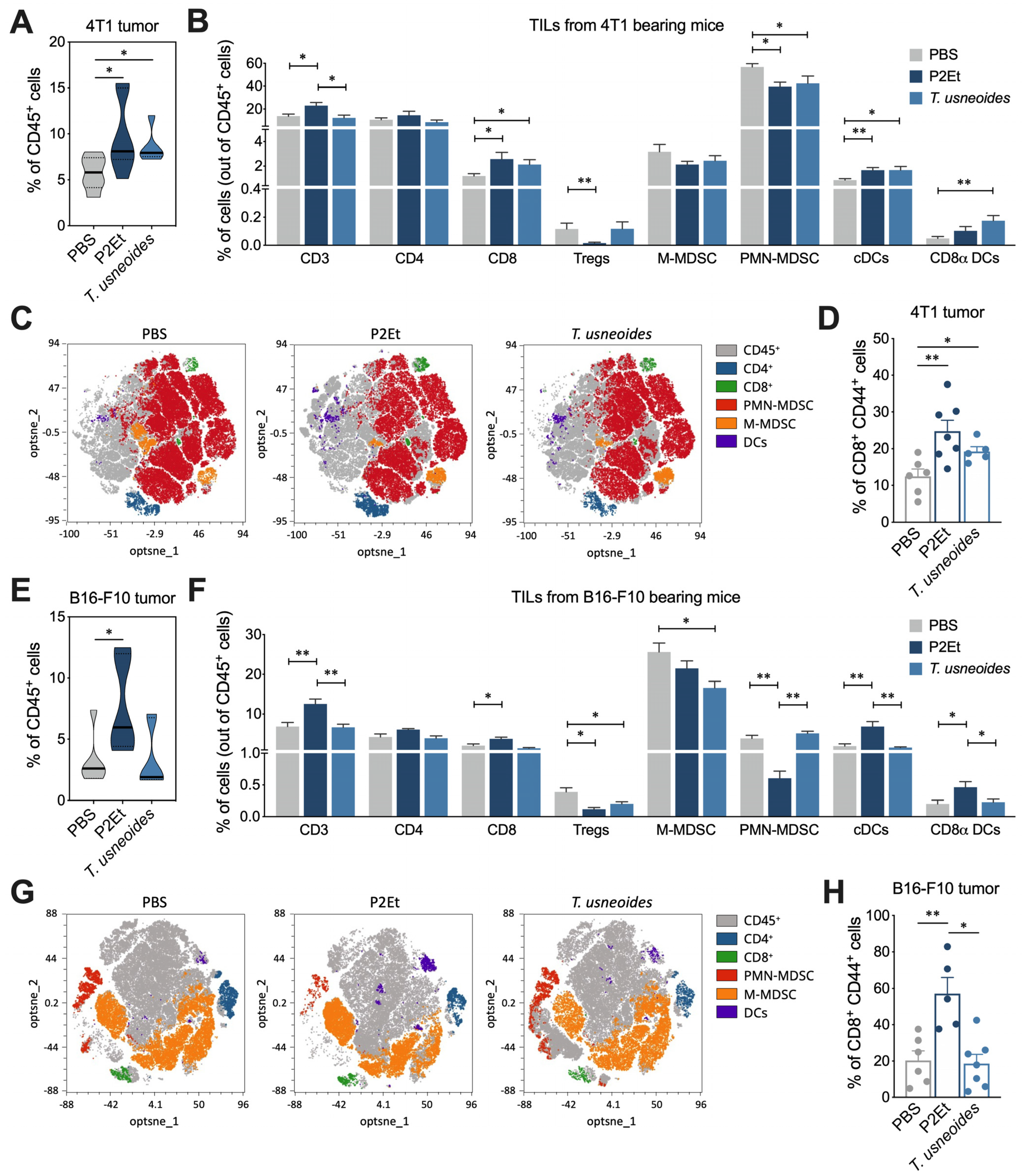 Cancers 14 05383 g004