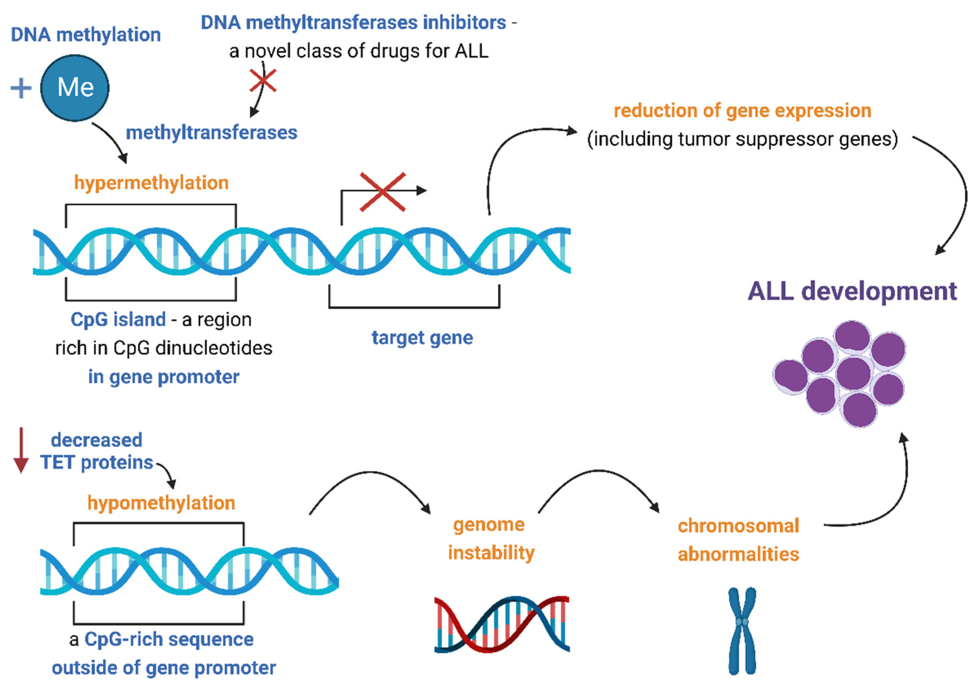 Cancers 14 05384 g001