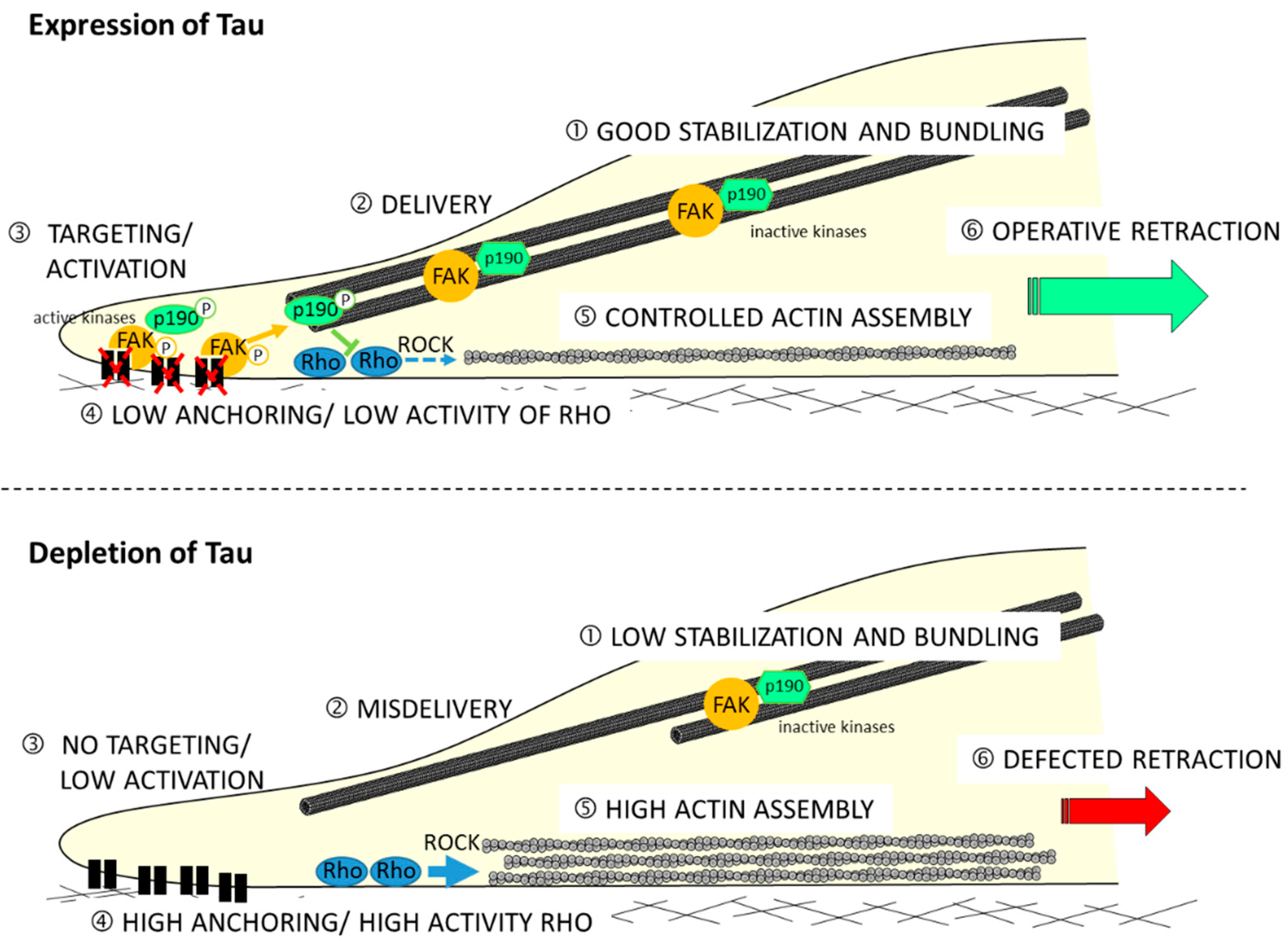 Cancers 14 05386 g002