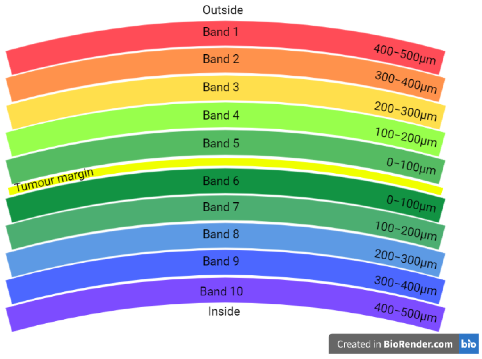 Cancers 14 05387 g003