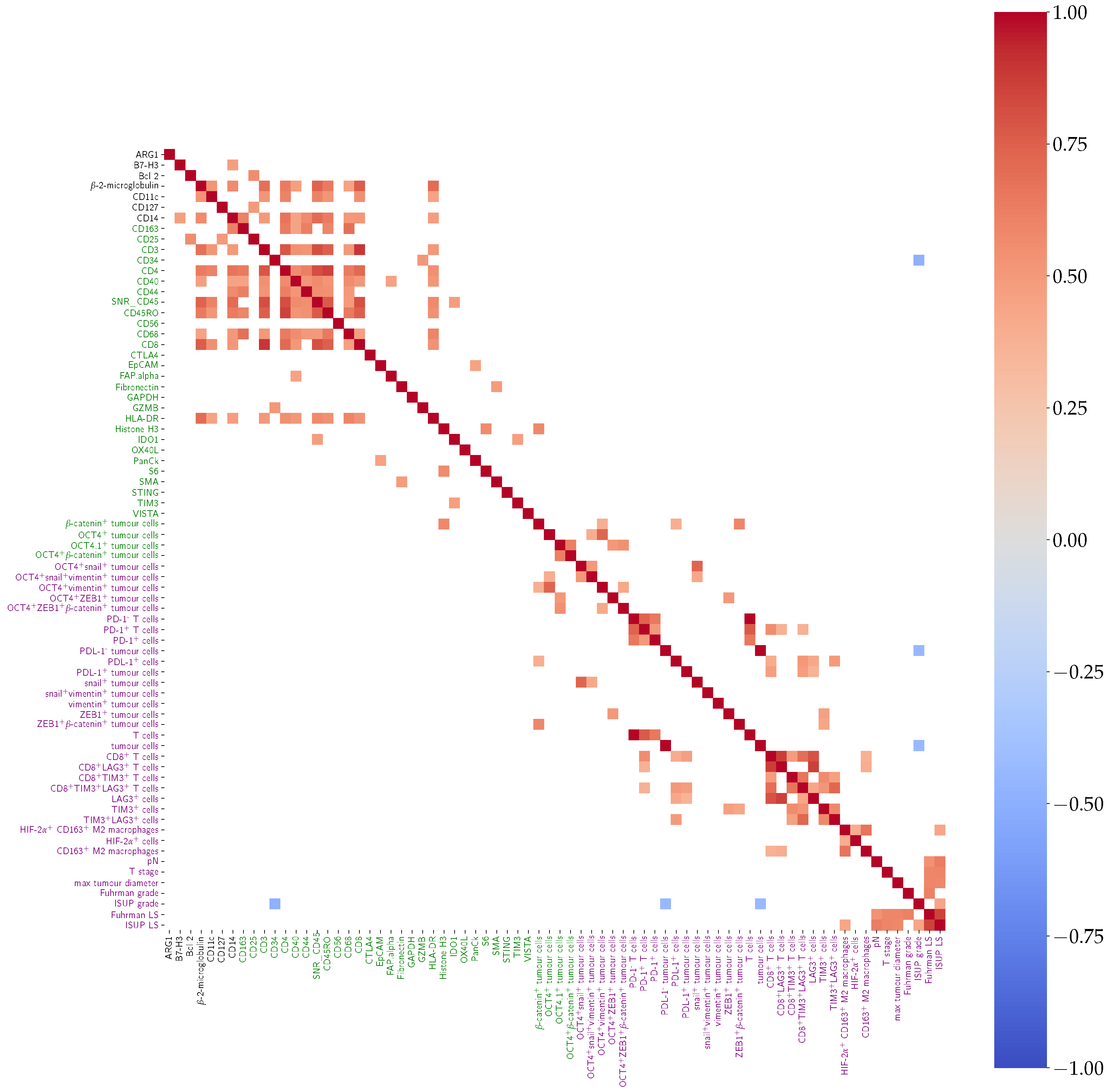 Cancers 14 05387 g005