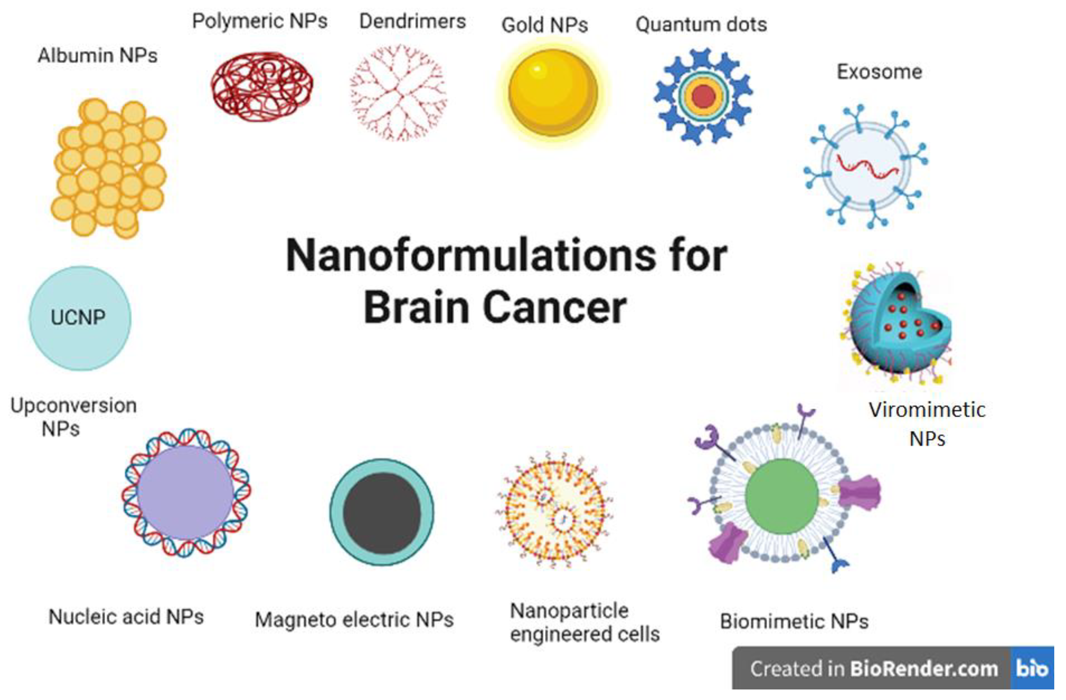 Cancers 14 05389 g002