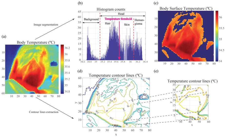 Cancers 14 05392 g006