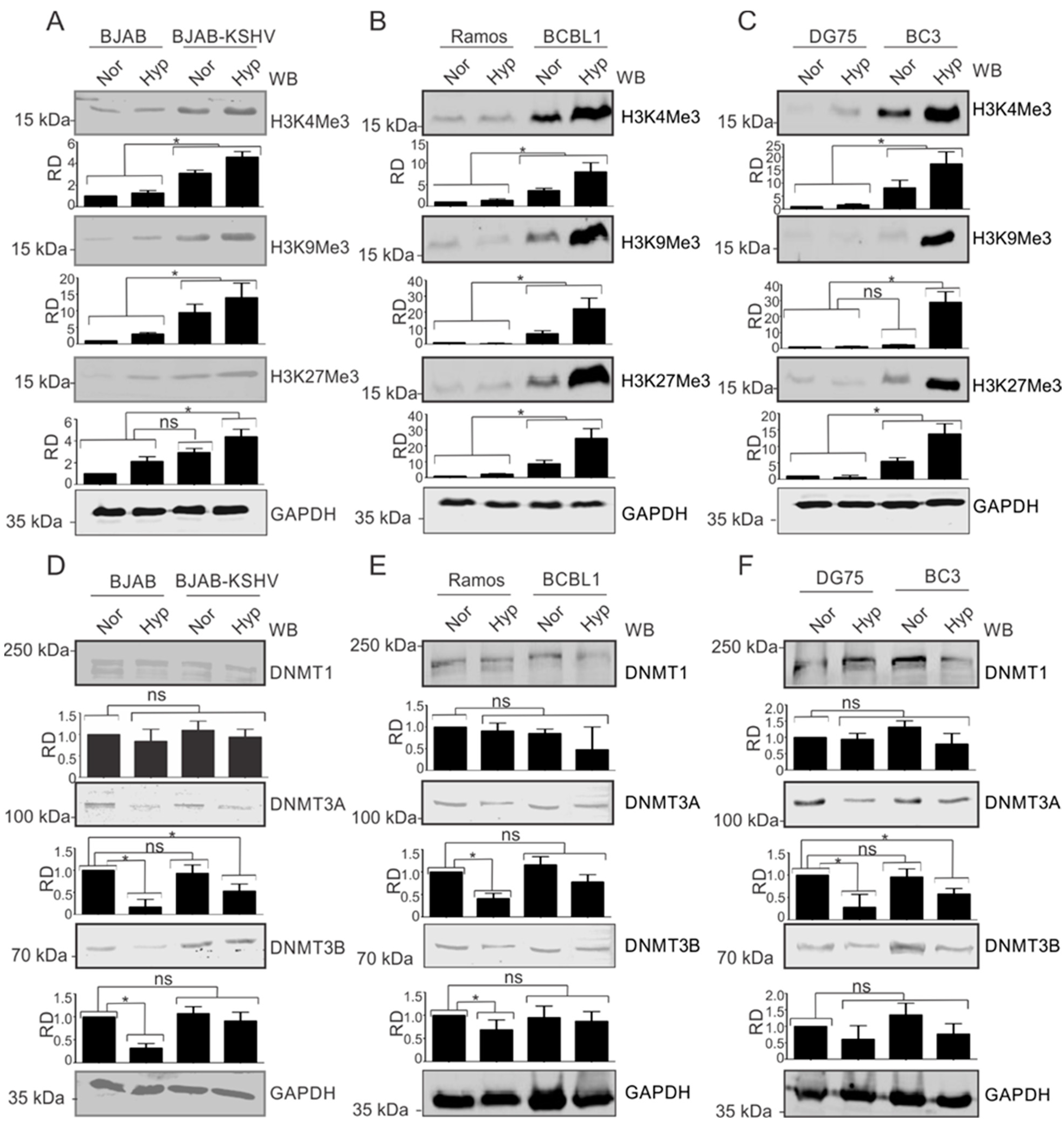 Cancers 14 05396 g002