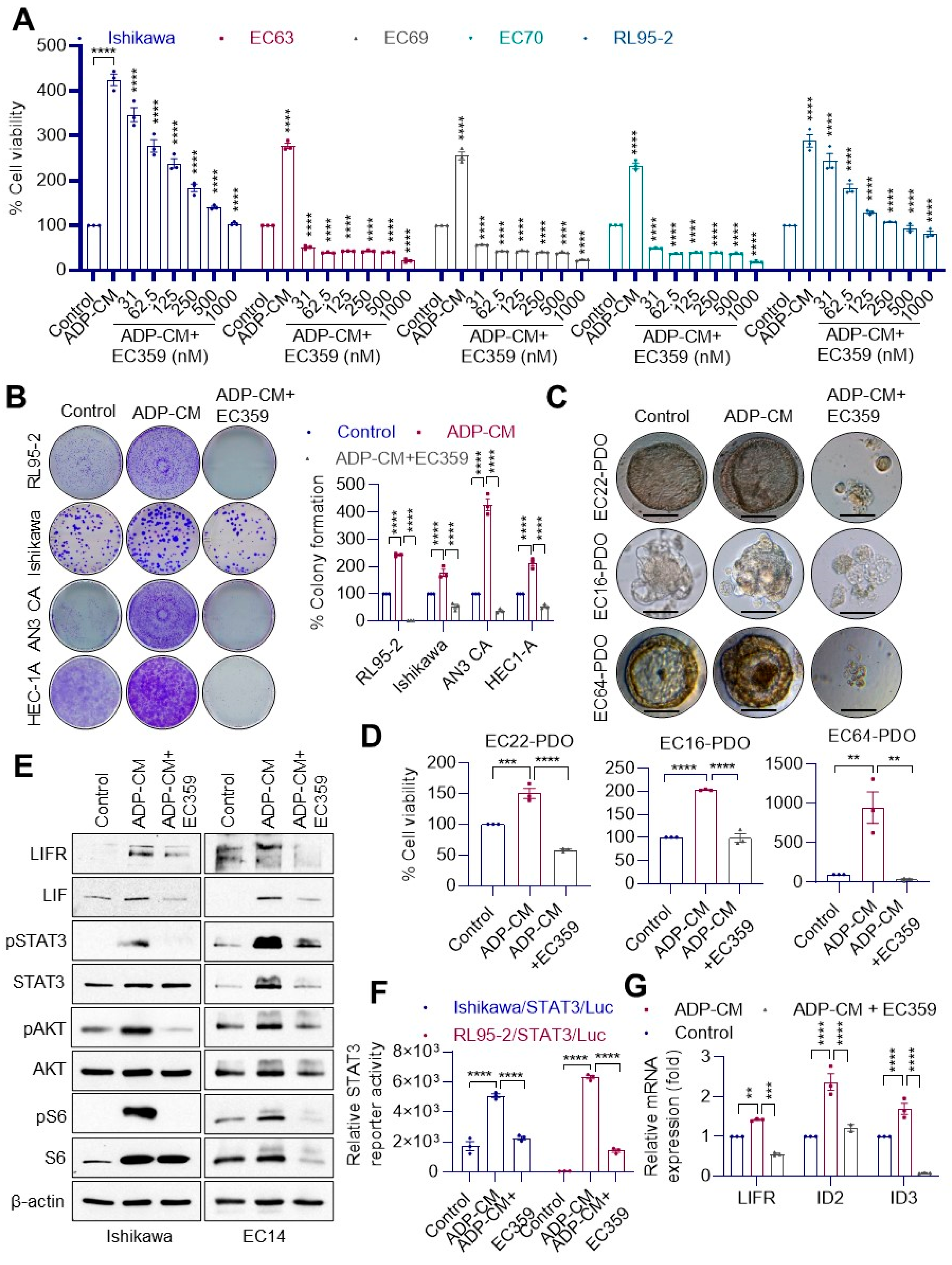 Cancers 14 05400 g004 Cancers 14 05400 g004