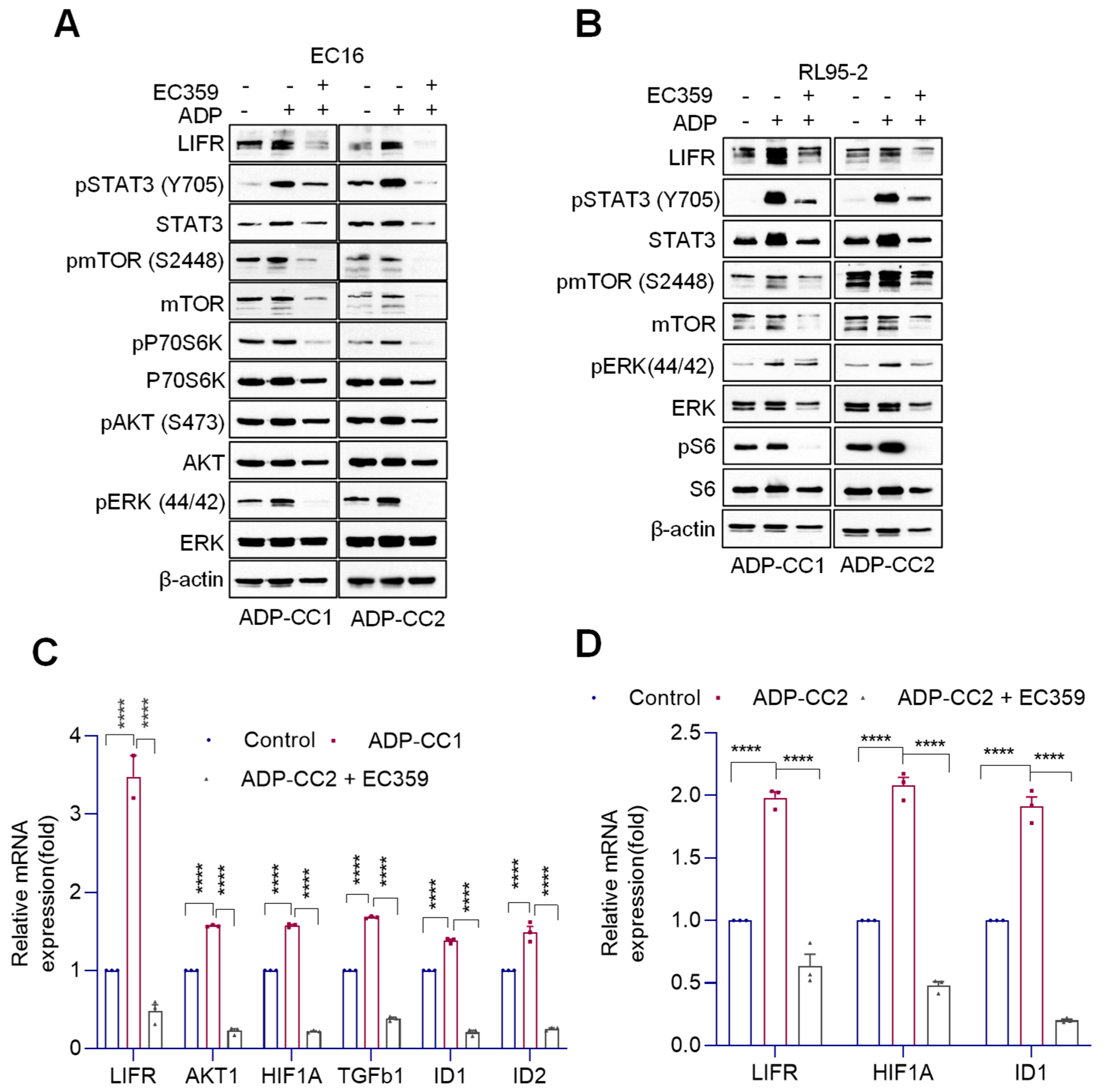Cancers 14 05400 g005 Cancers 14 05400 g005