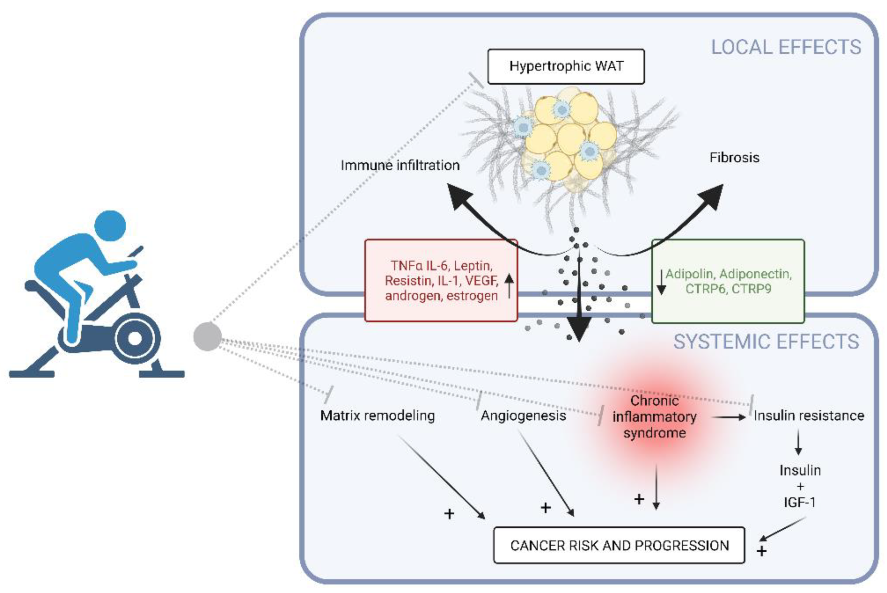 Cancers 14 05402 g001 Cancers 14 05402 g001