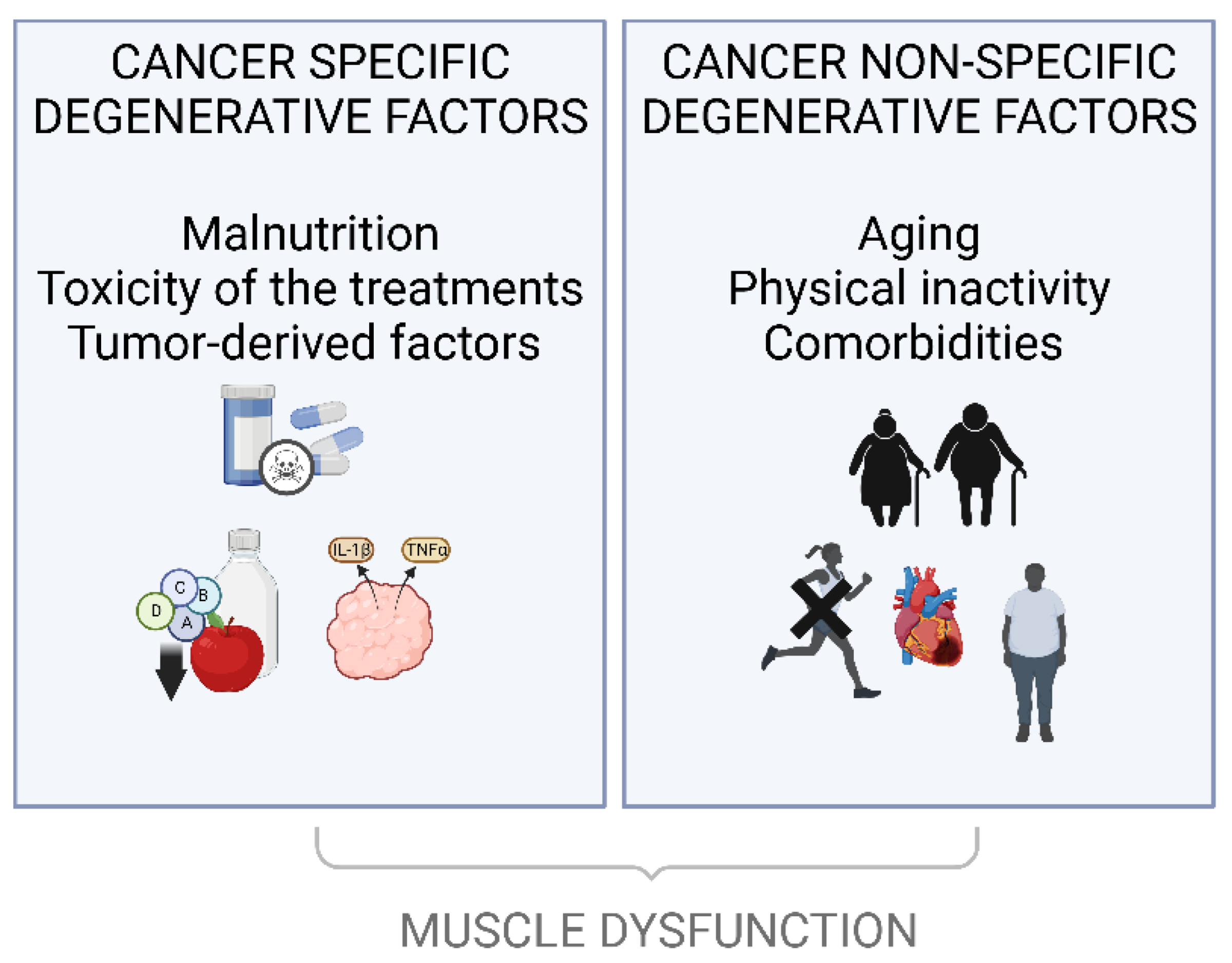 Cancers 14 05402 g002 Cancers 14 05402 g002