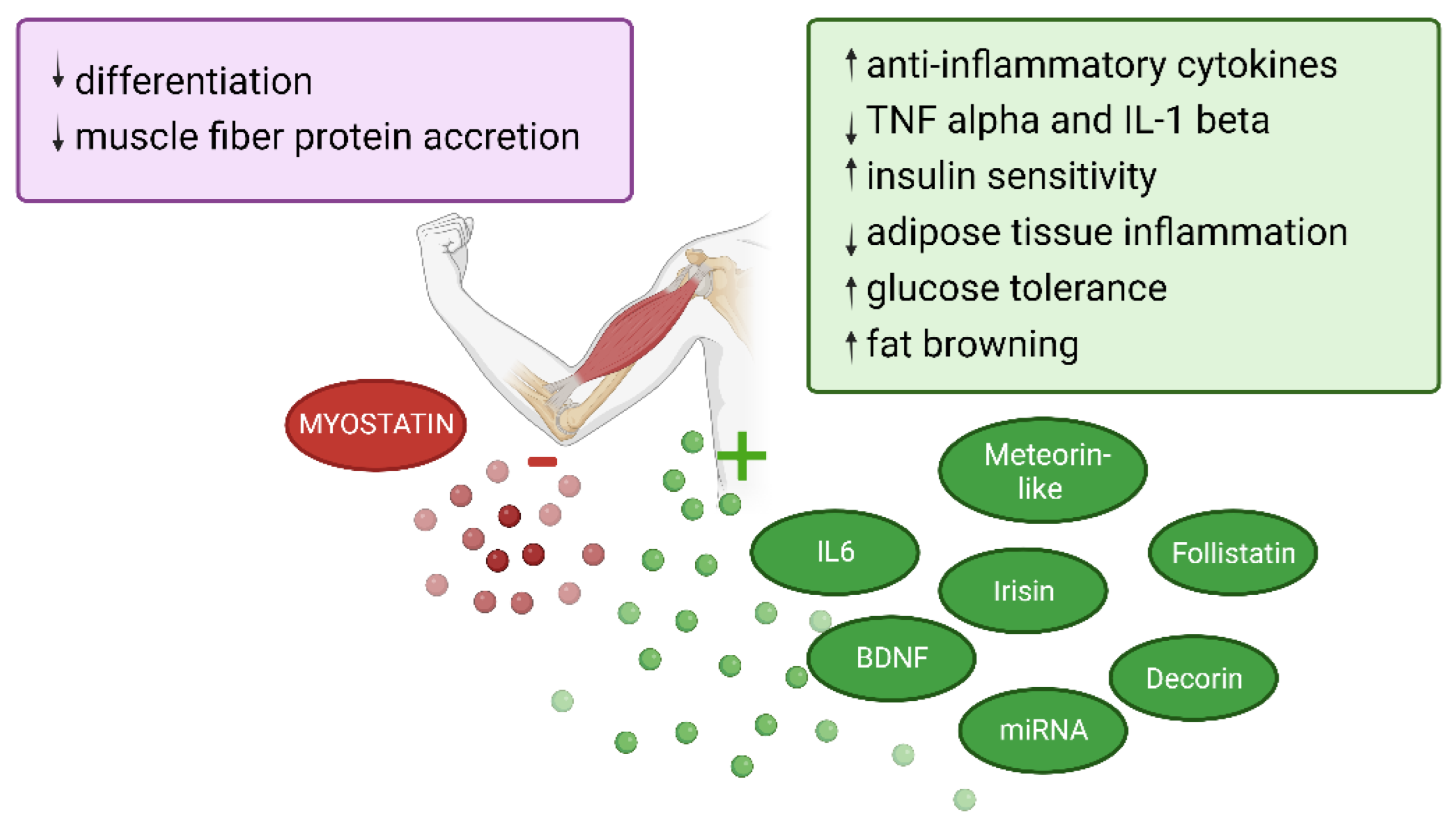 Cancers 14 05402 g004 Cancers 14 05402 g004
