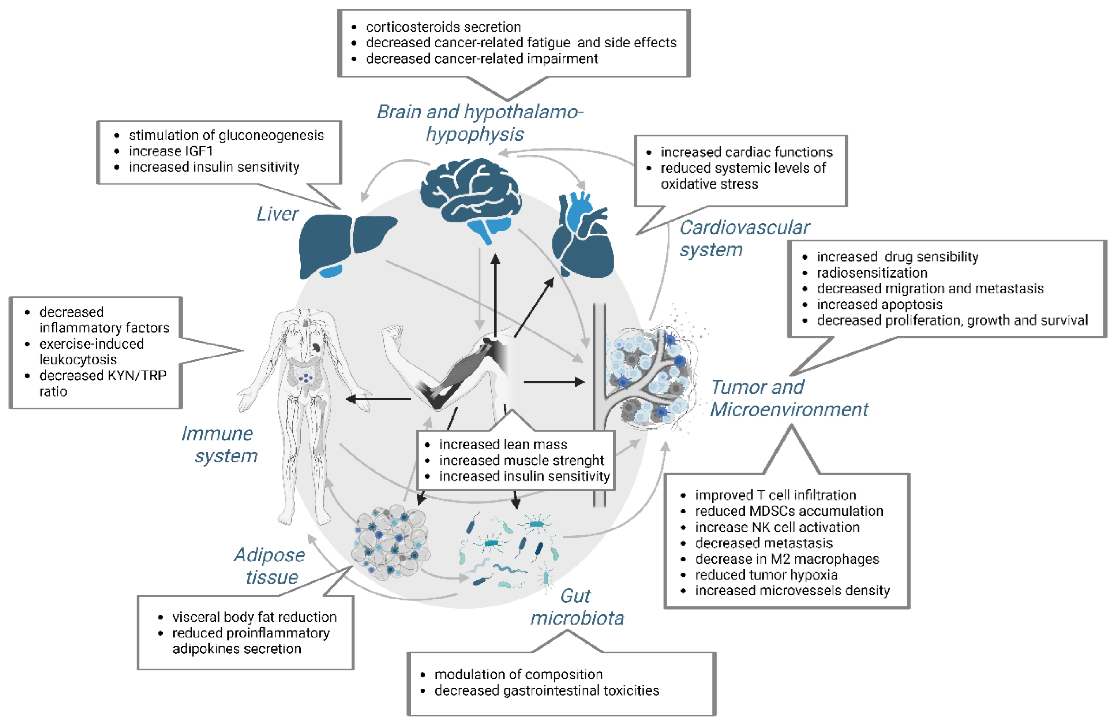 Cancers 14 05402 g005 Cancers 14 05402 g005