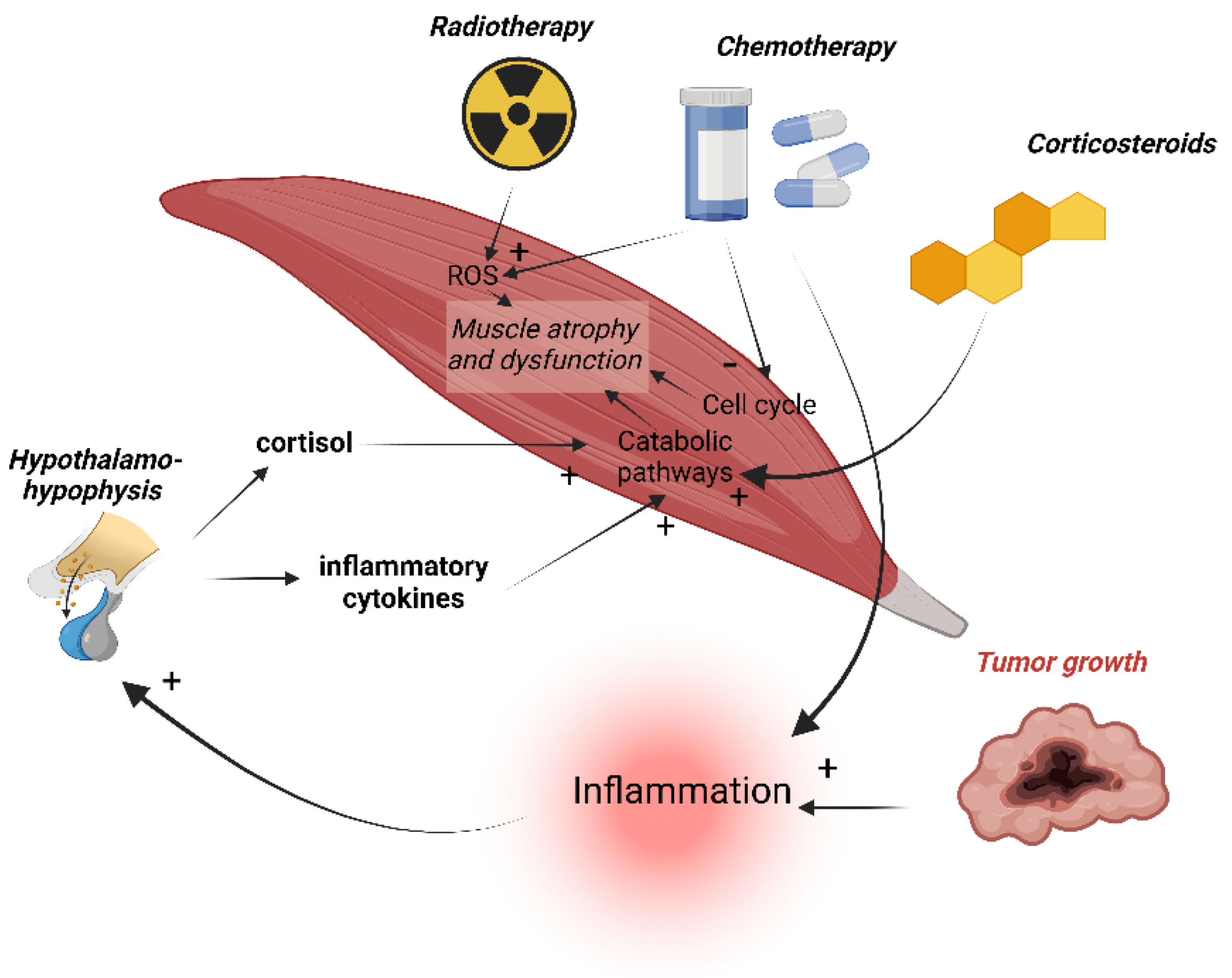 Cancers 14 05402 g006 Cancers 14 05402 g006