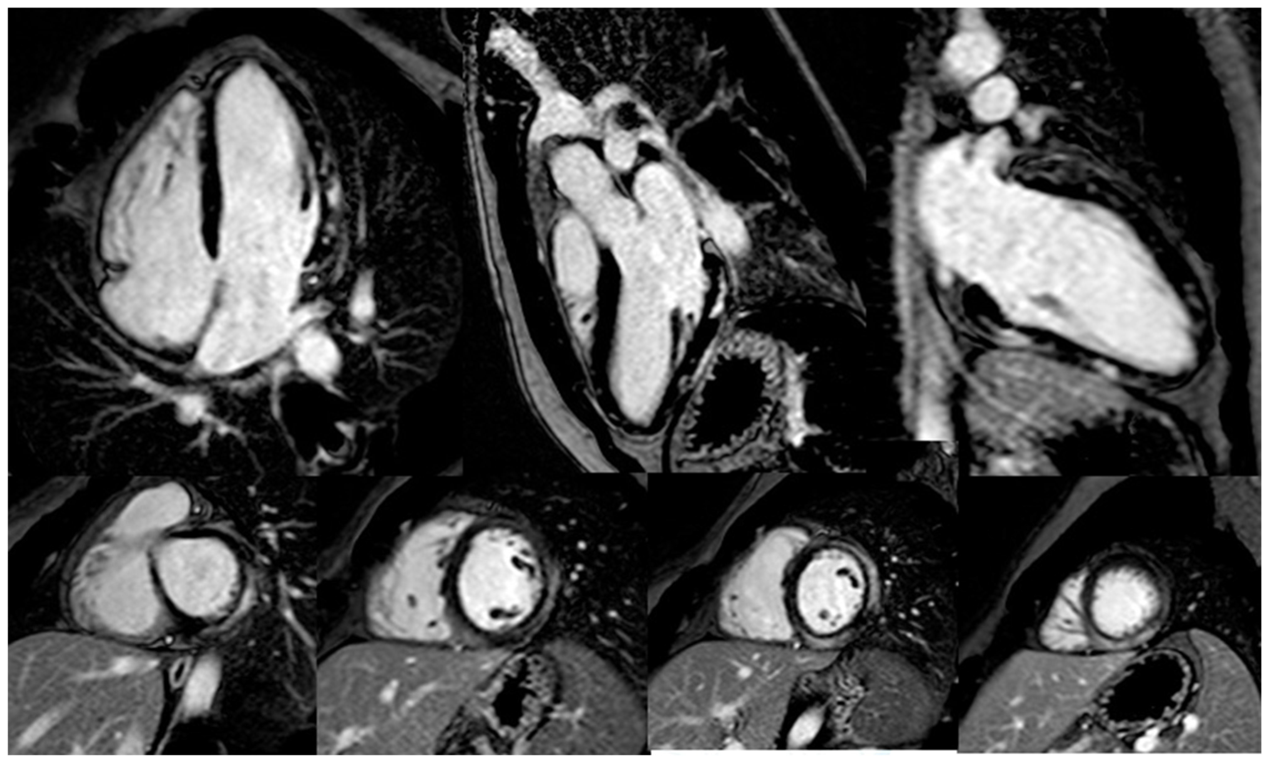 Cancers 14 05403 g002