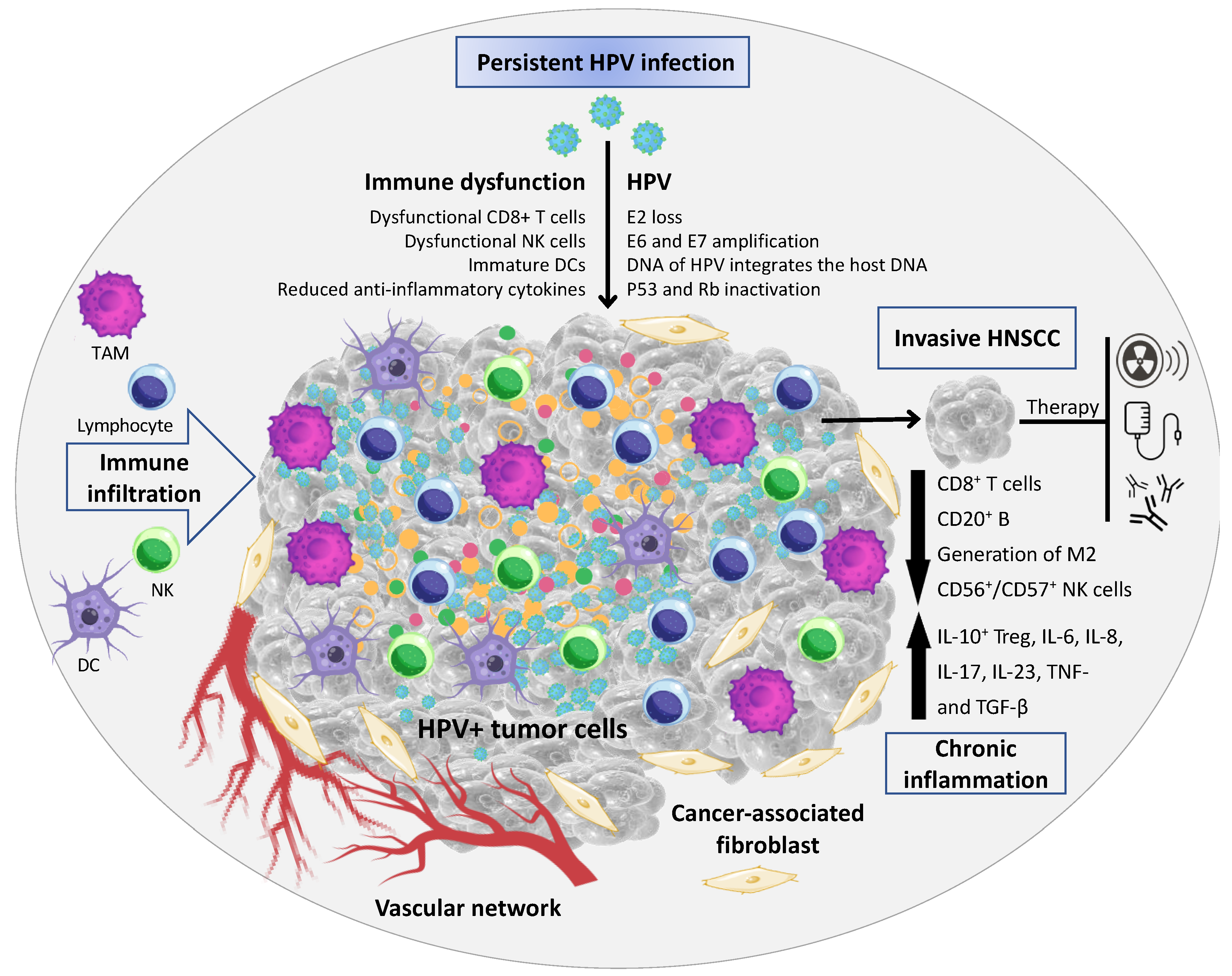 Cancers 14 05406 g001