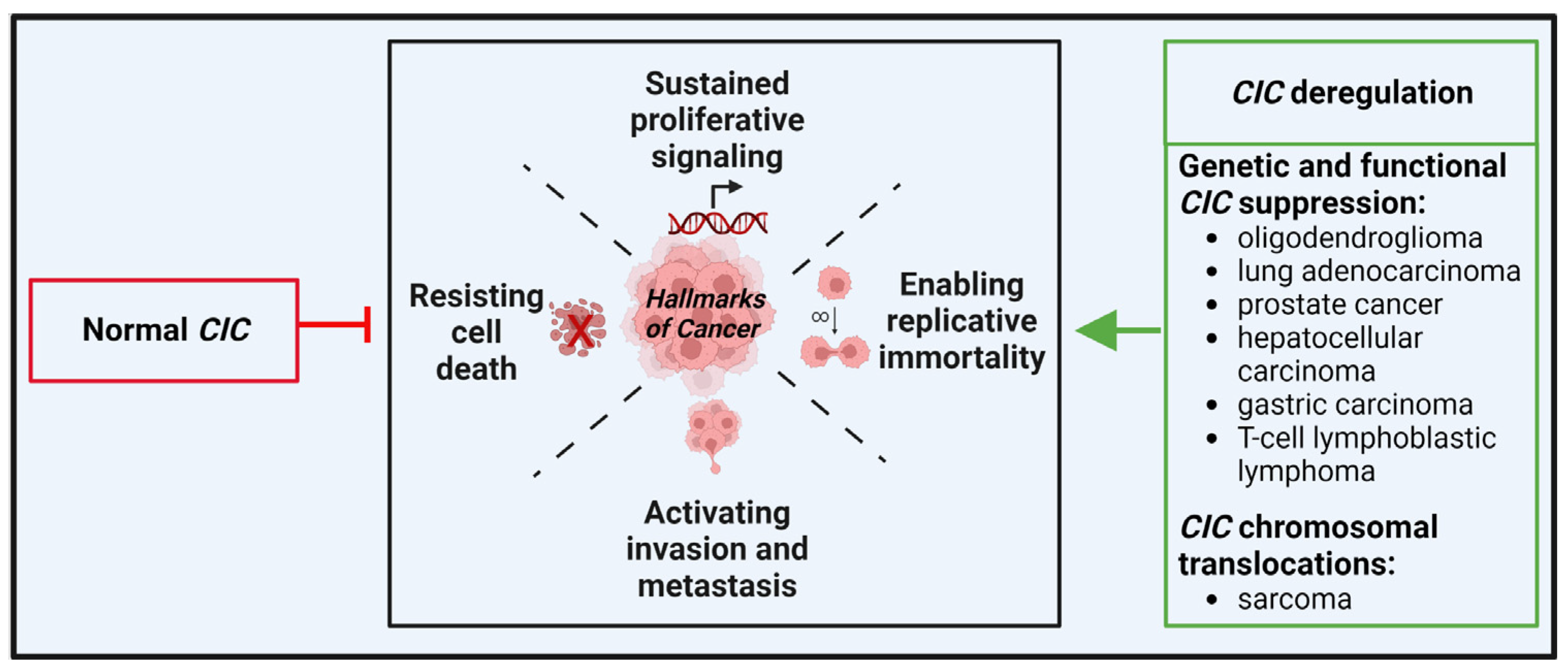 Cancers 14 05411 g002 Cancers 14 05411 g002