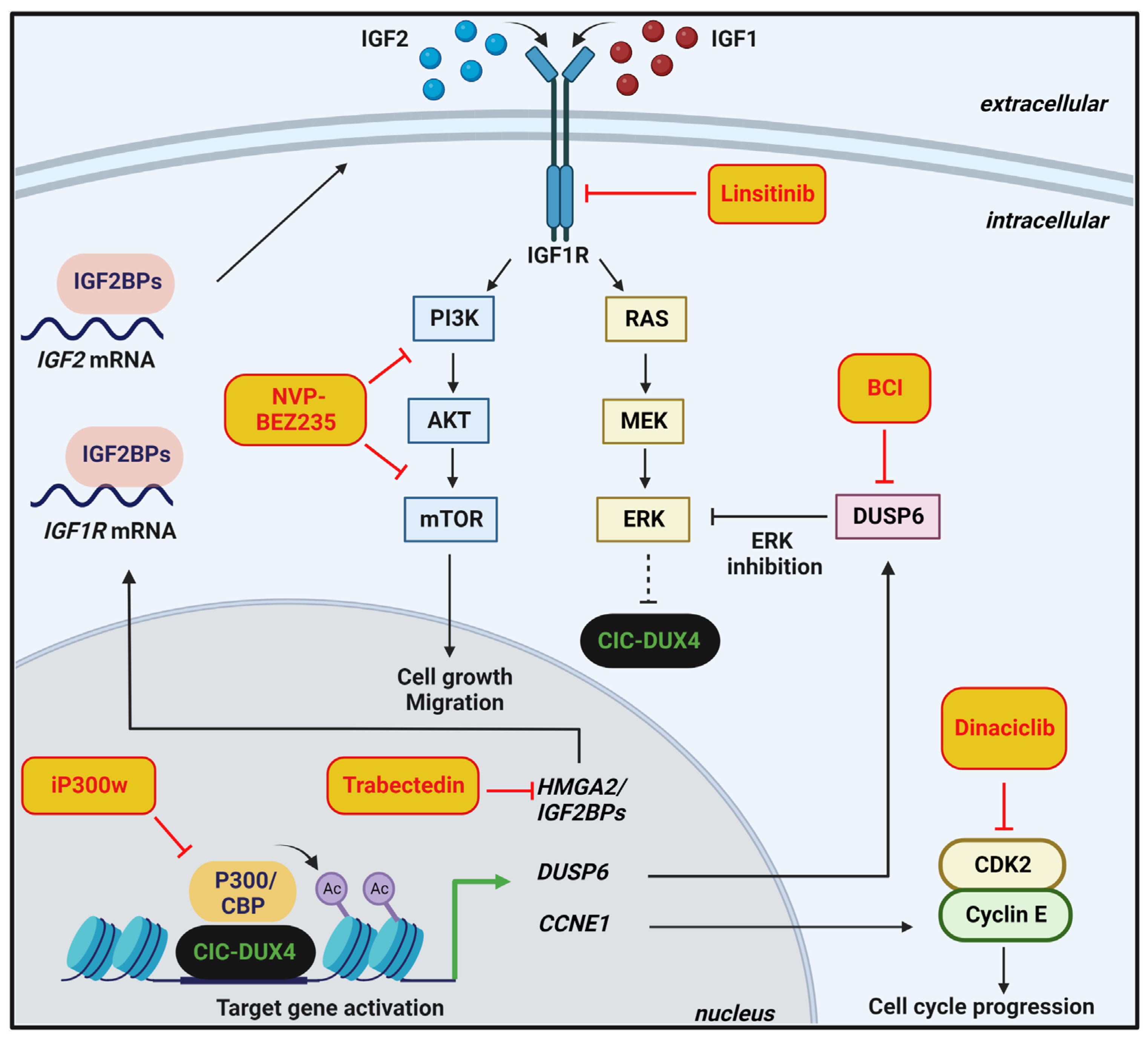 Cancers 14 05411 g003 Cancers 14 05411 g003