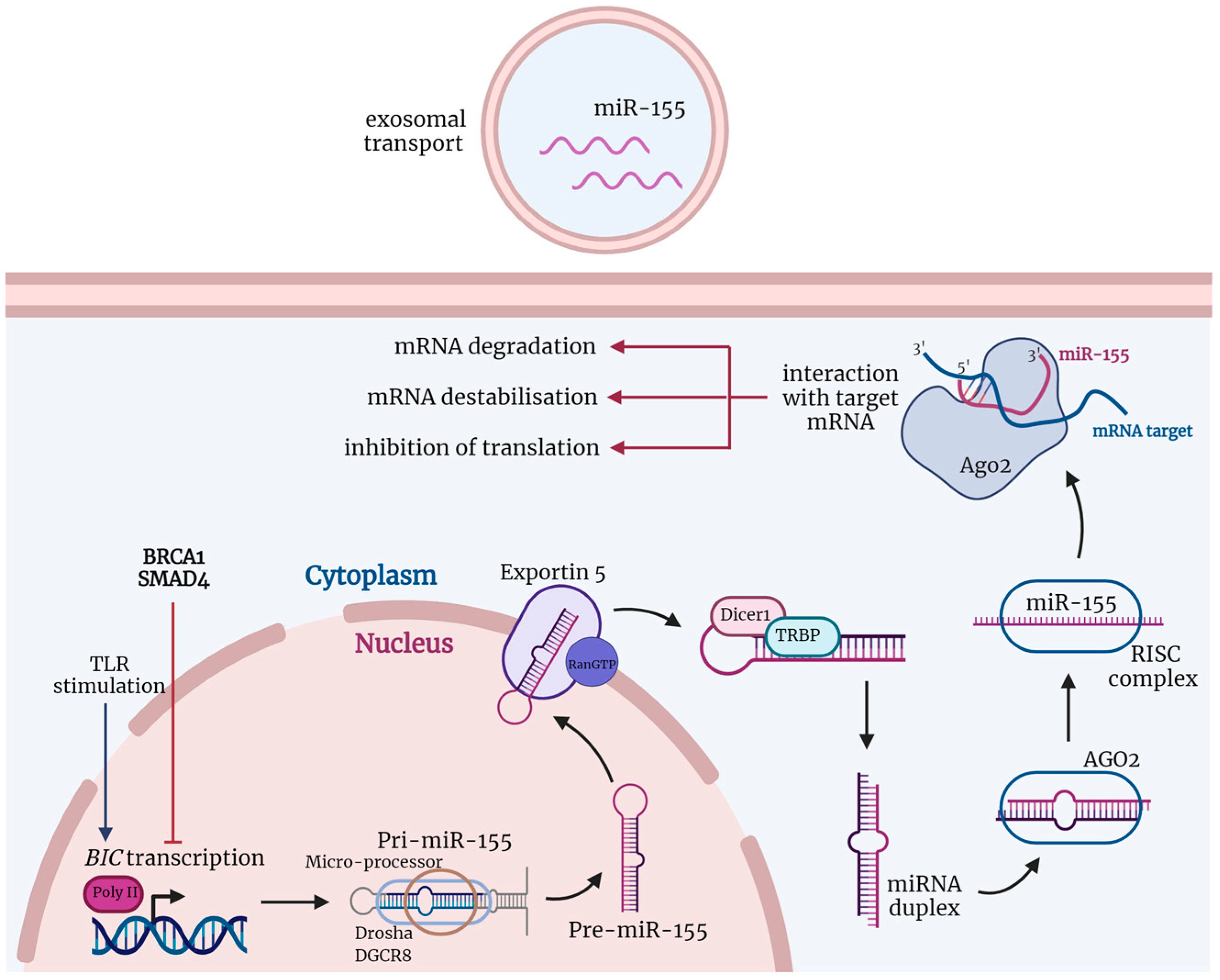 Cancers 14 05414 g001 Cancers 14 05414 g001