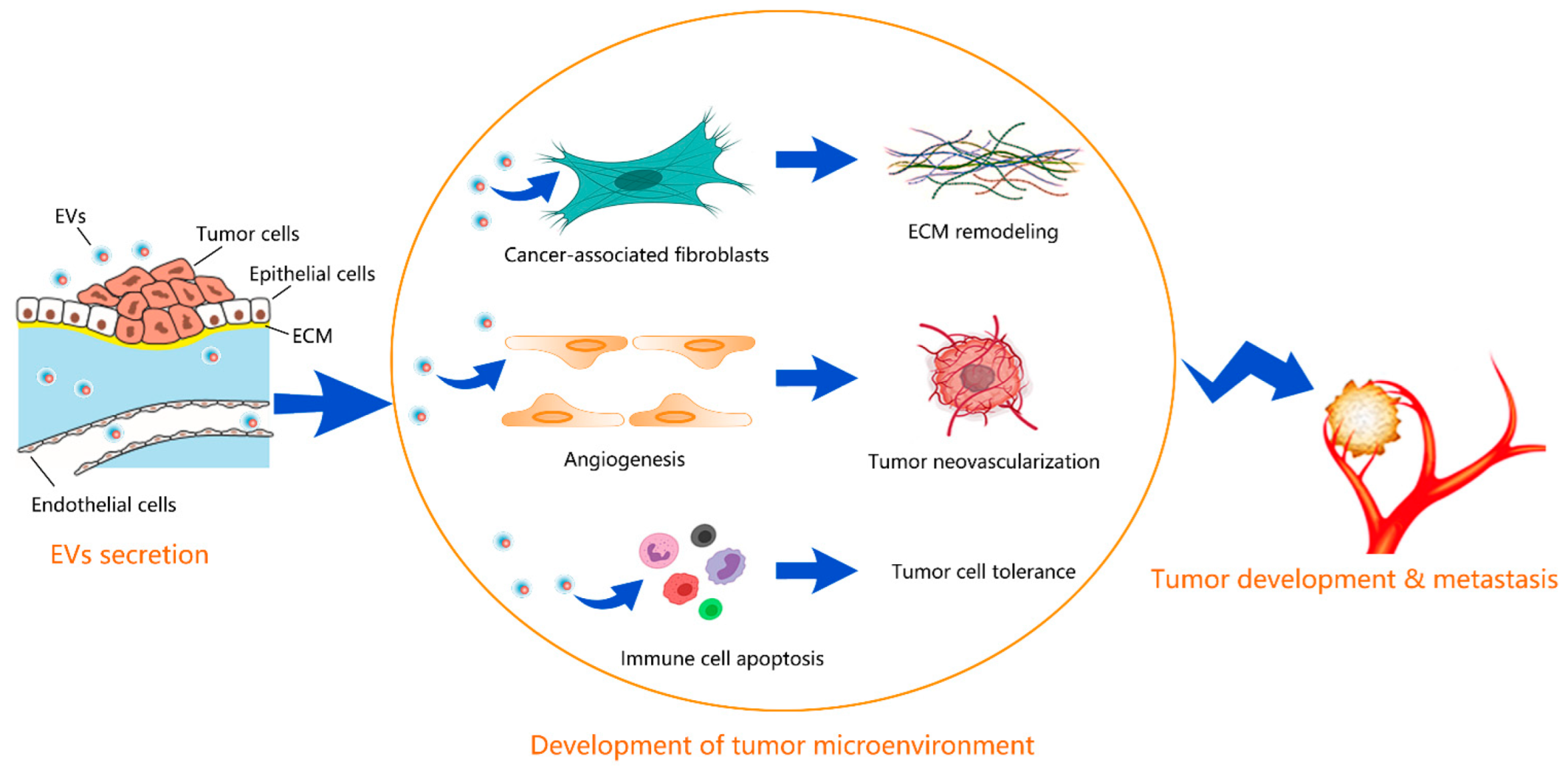 Cancers 14 05415 g001