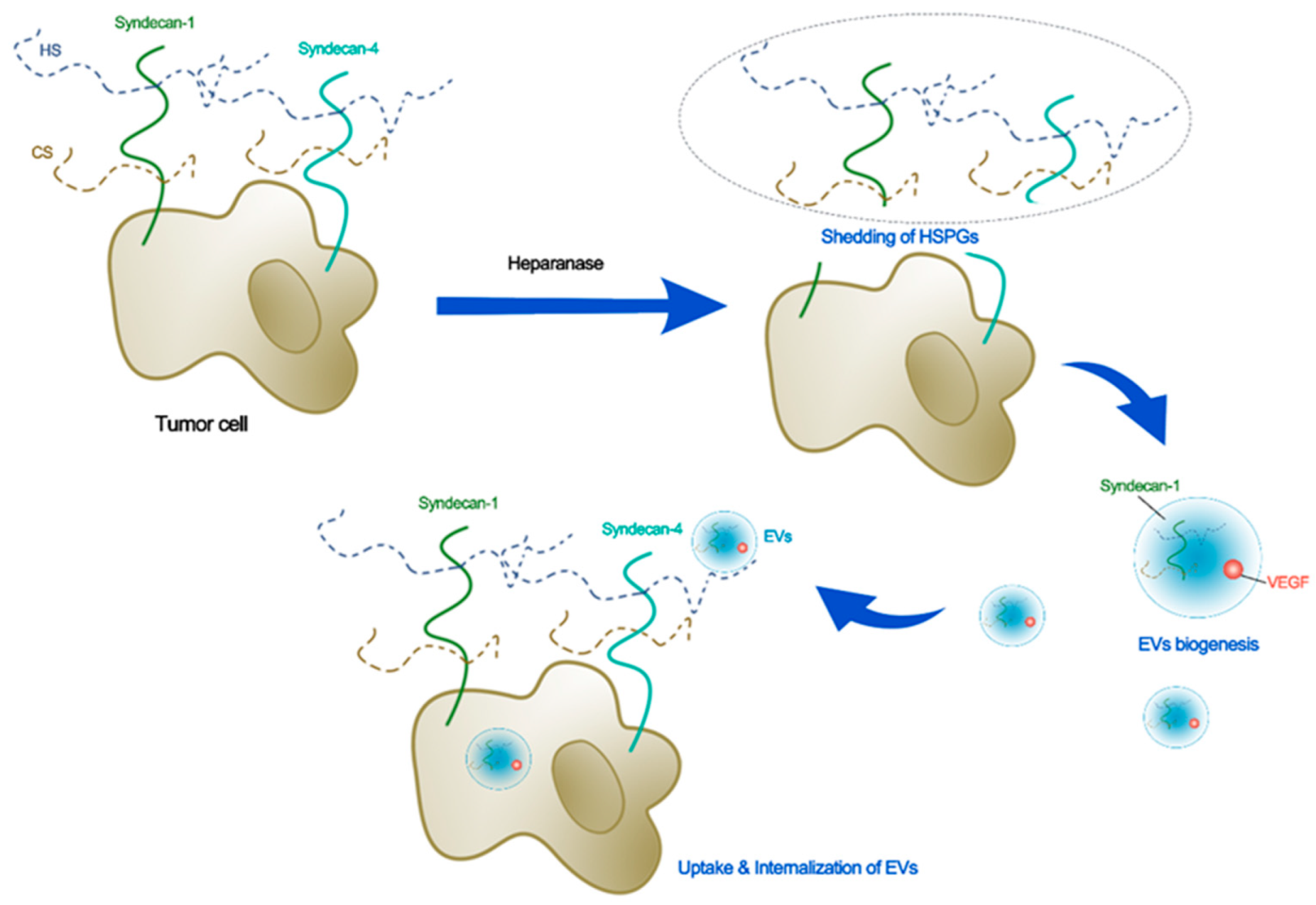 Cancers 14 05415 g002