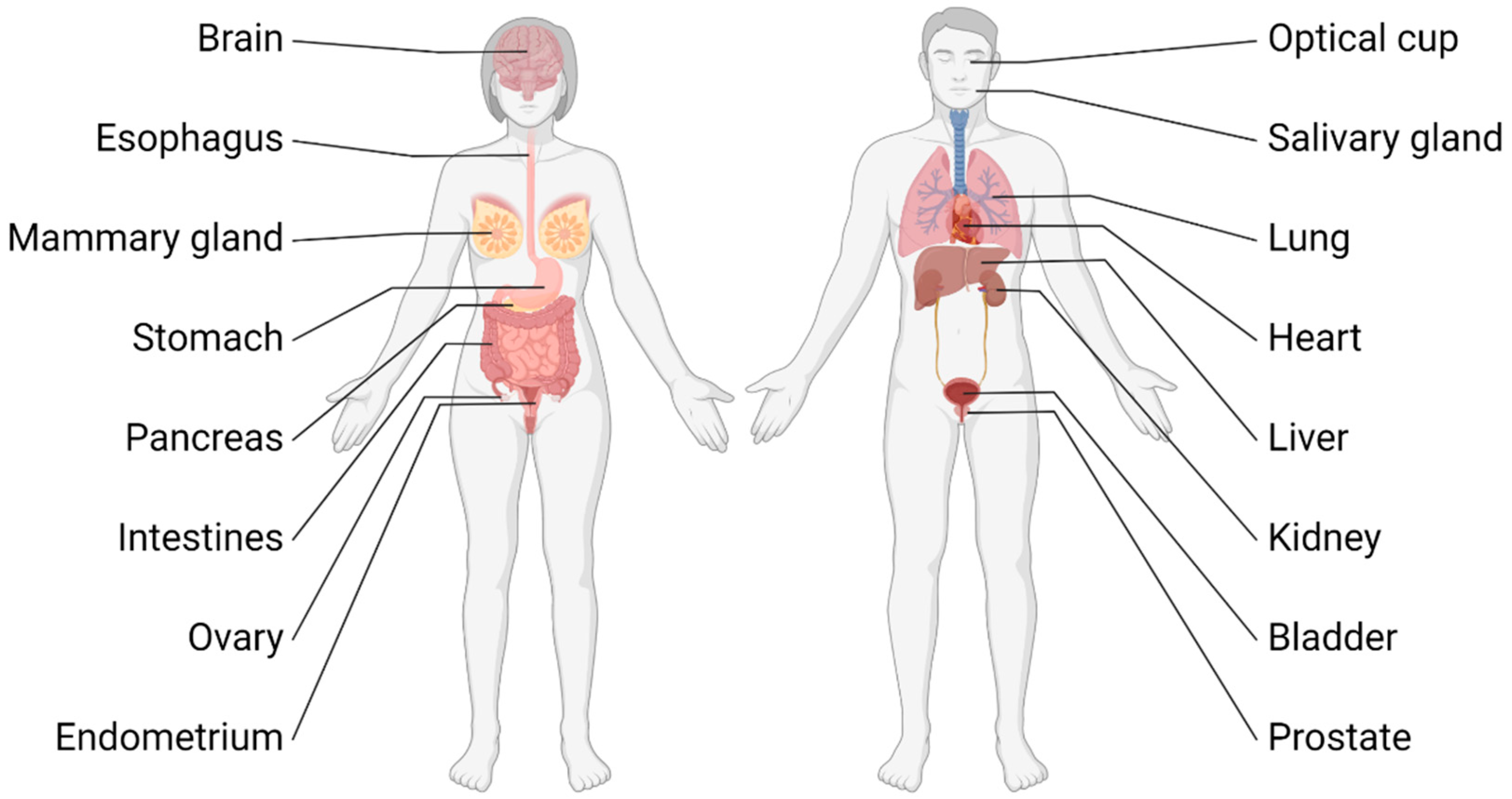 Cancers 14 05416 g001