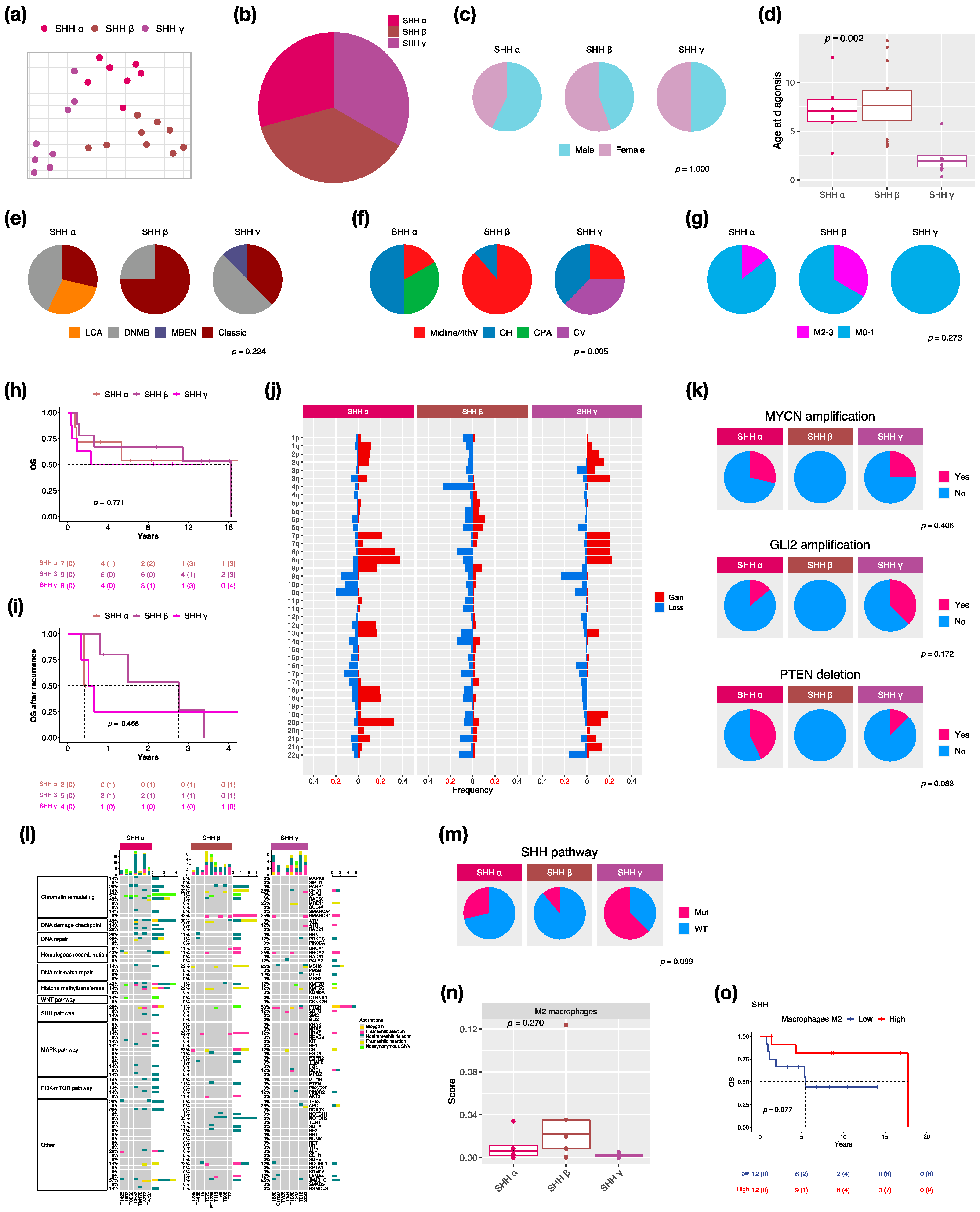 Cancers 14 05419 g003