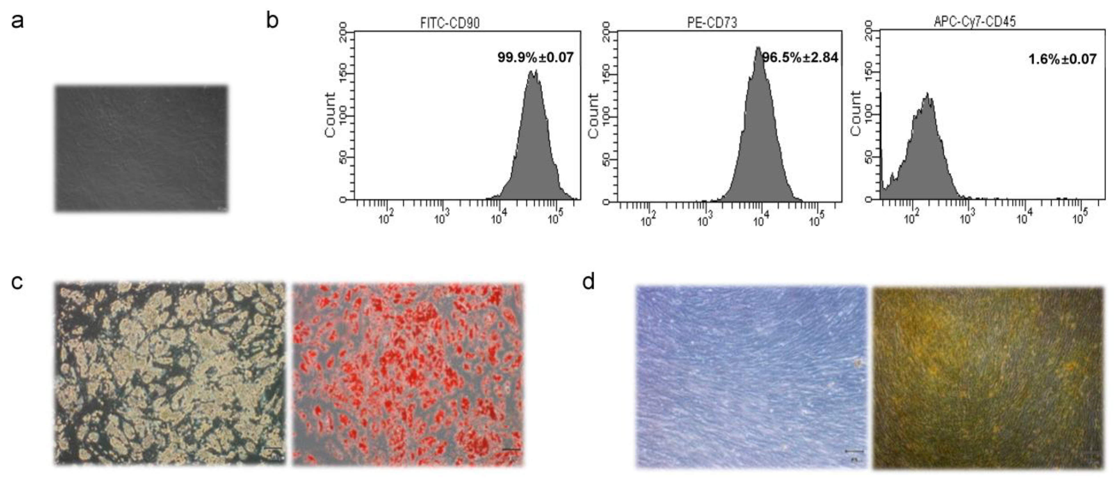 Cancers 14 05421 g001