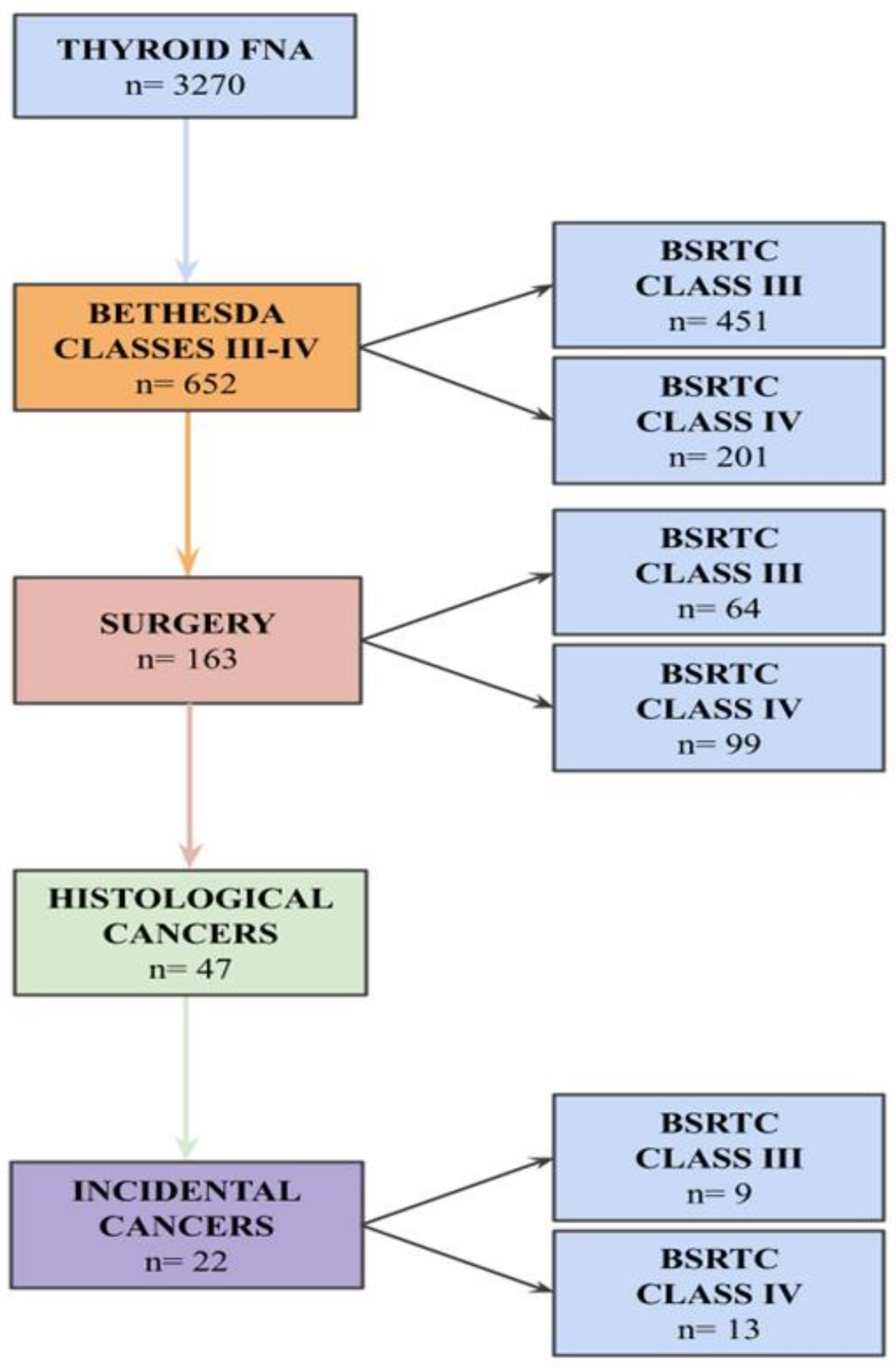 Cancers 14 05427 g001