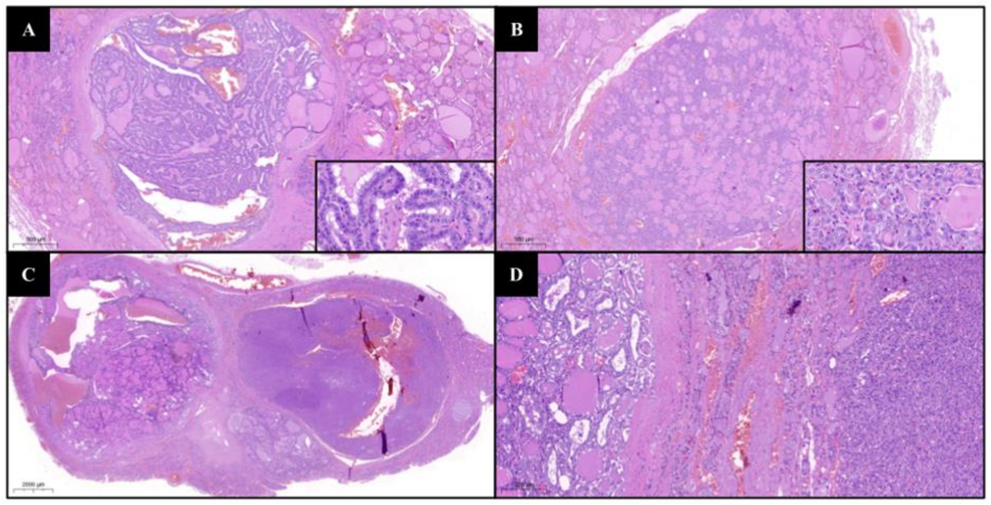 Cancers 14 05427 g002